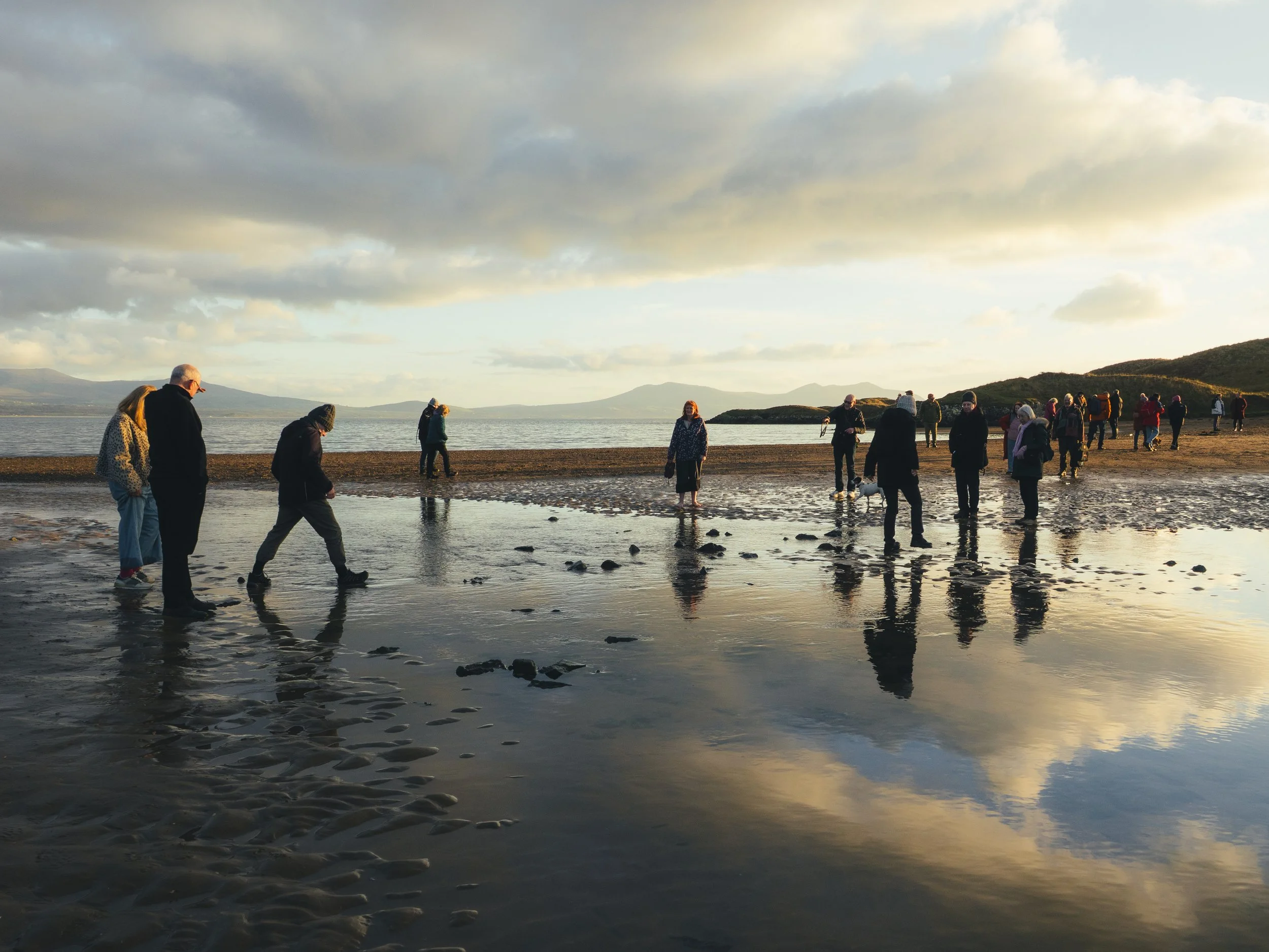 impatient crossings-3.jpg