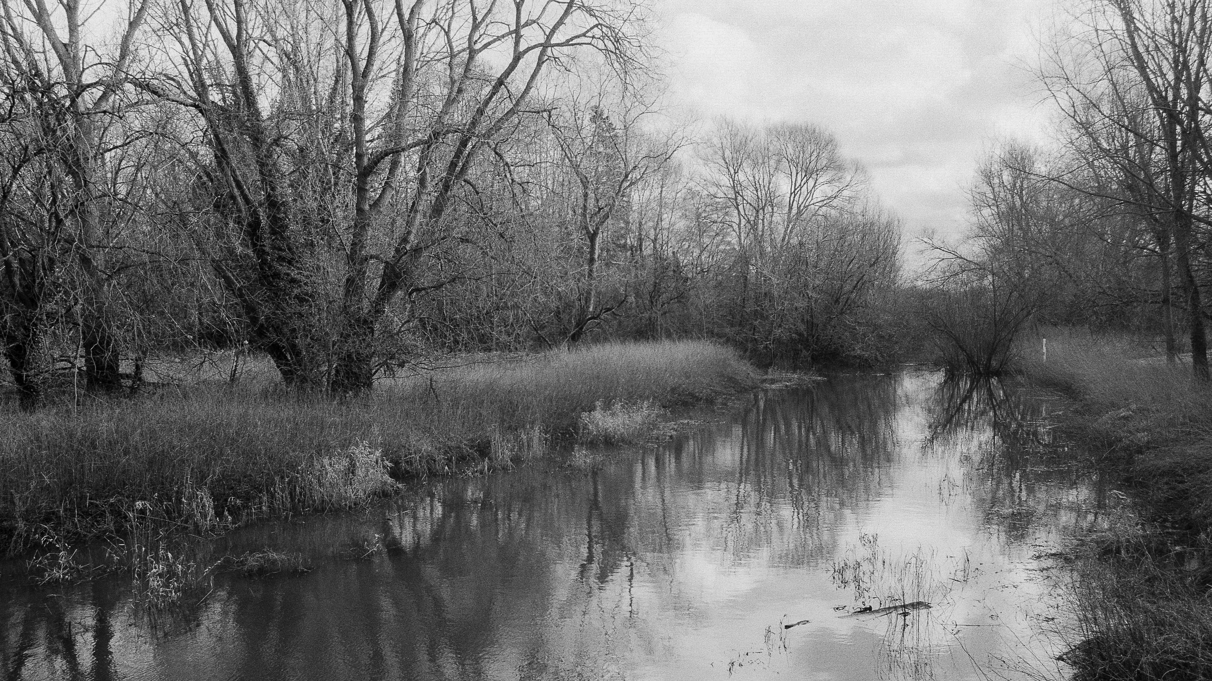 Kentmere 400 Feb 2026-15.jpg