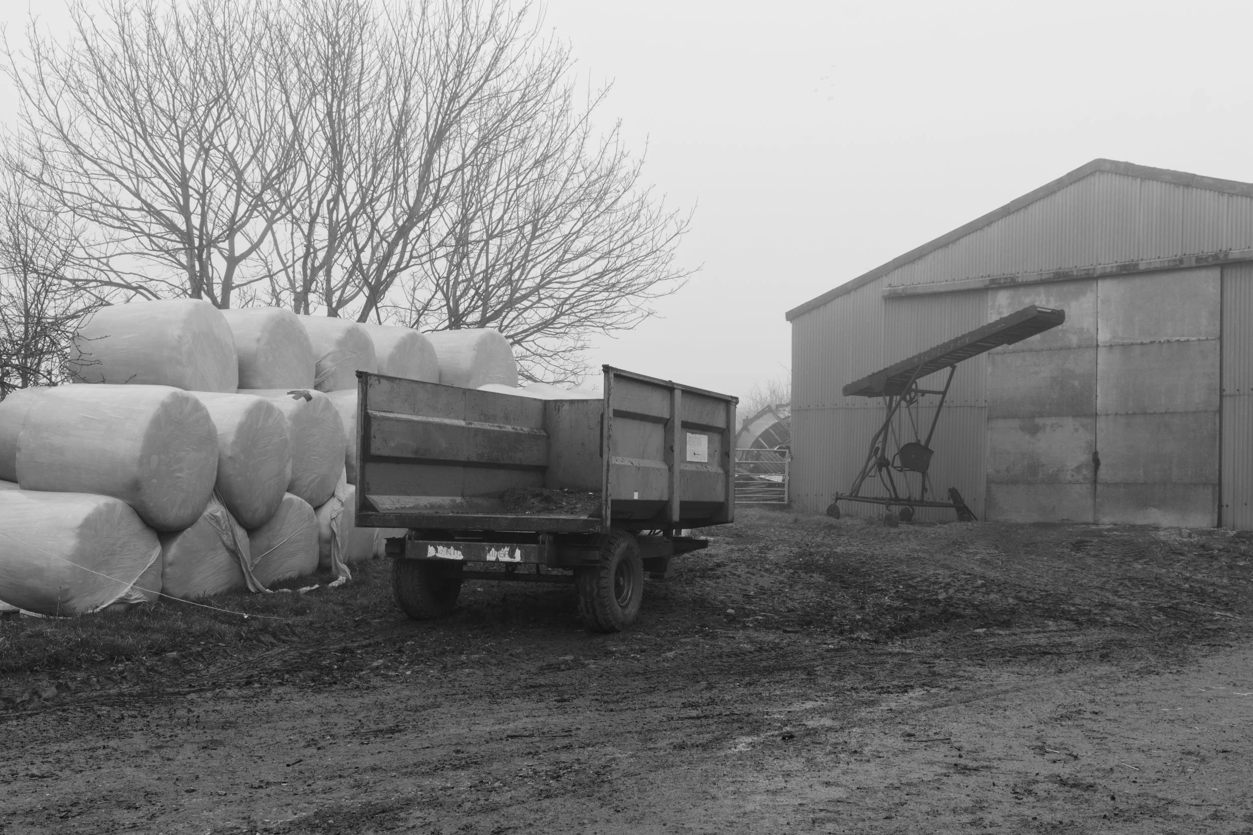 P1064626Borderlands.jpg