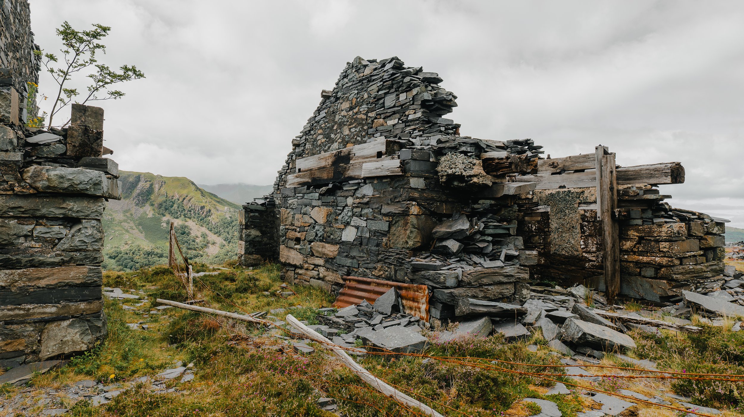 portfolio additions-9.jpg