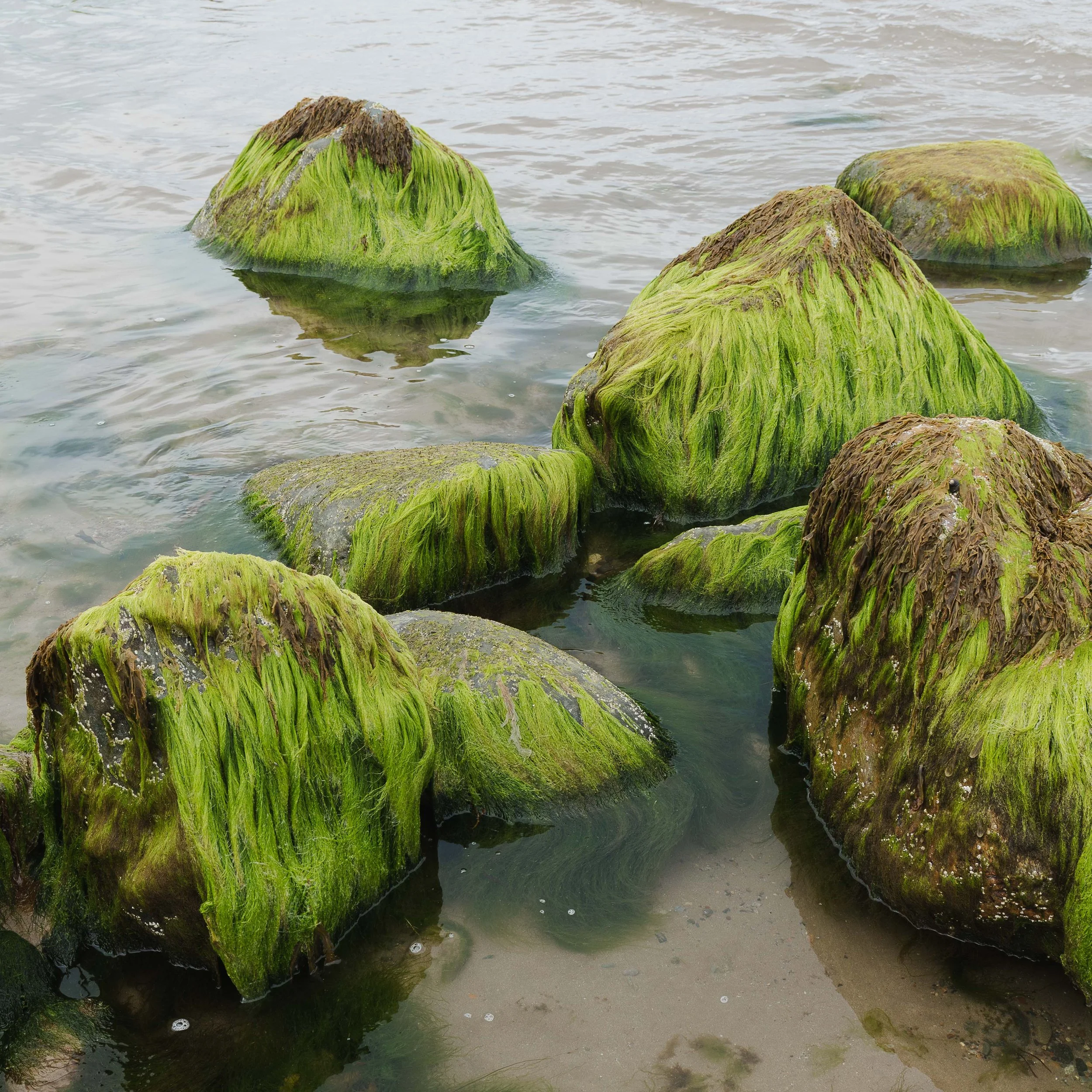 coastal gallery-7.jpg