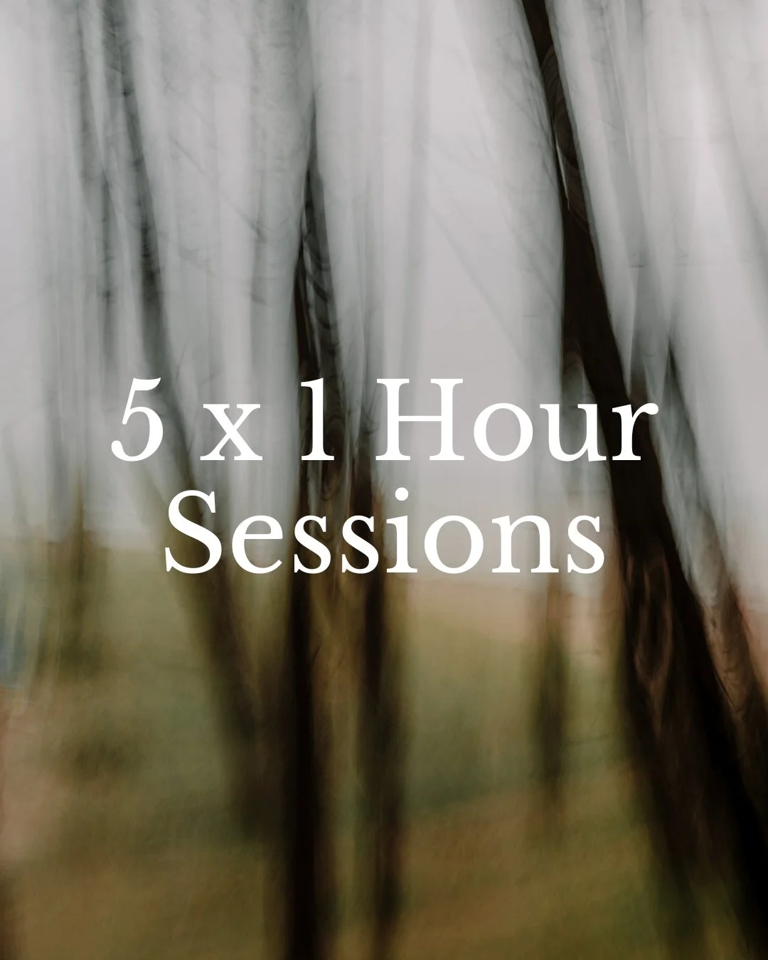 Mentoring Session Package (5 x 1 hour sessions)
