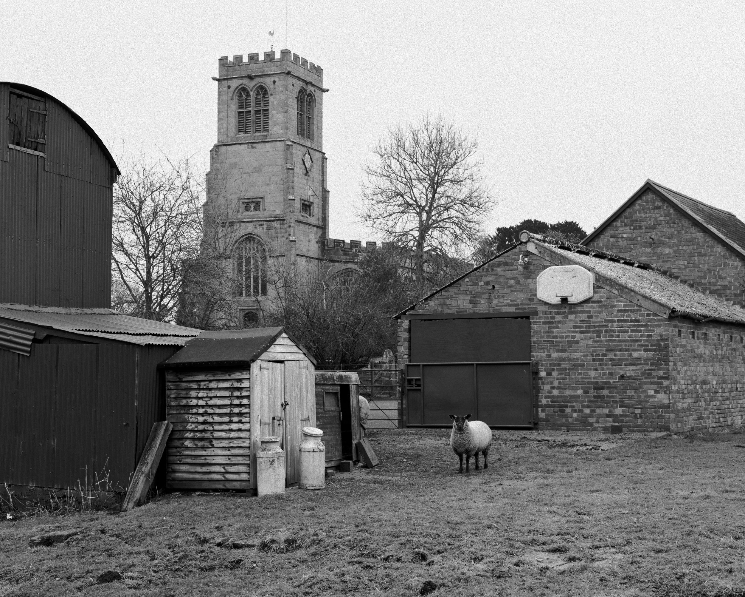P1065343Borderlands.jpg