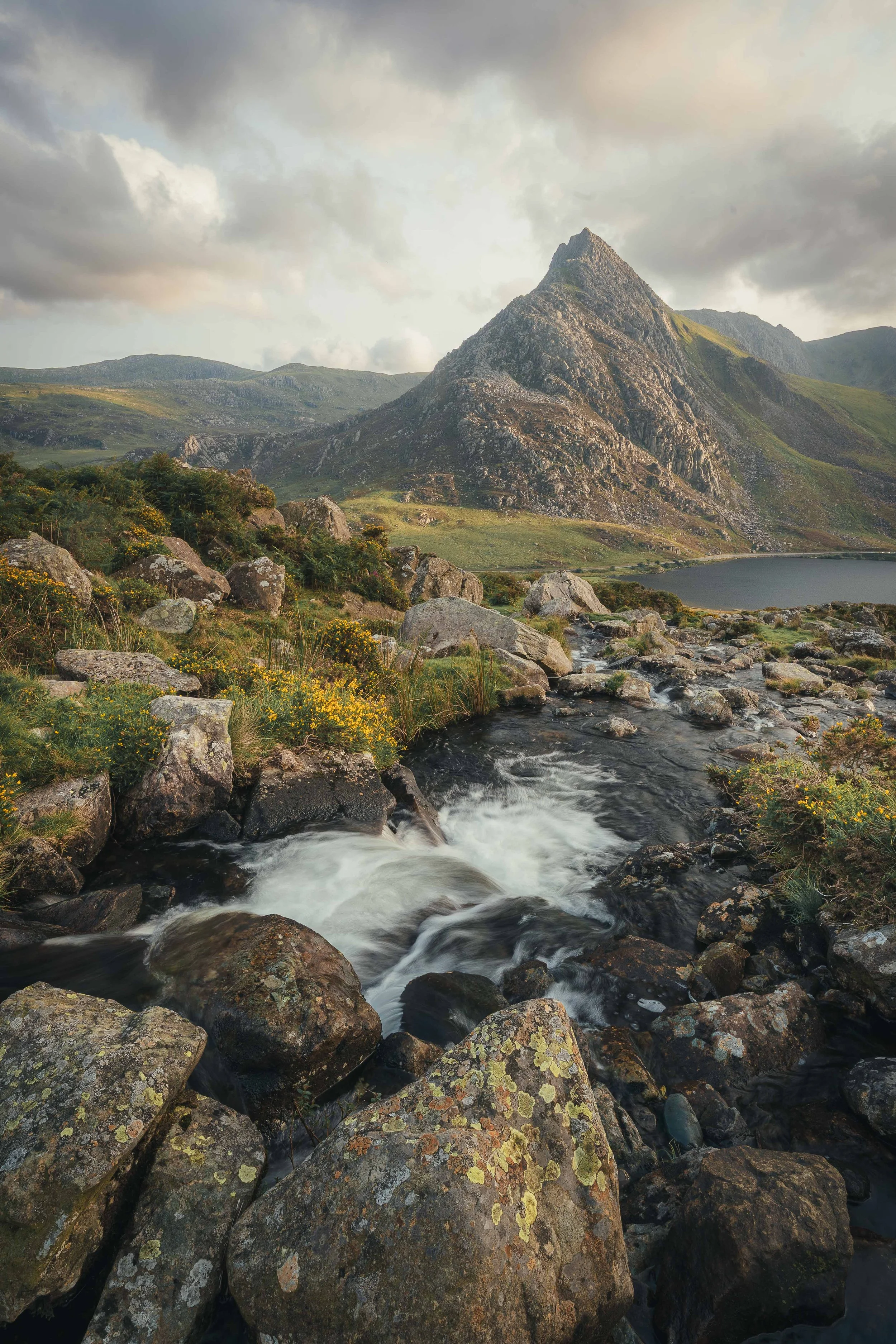 landscapes.jpg