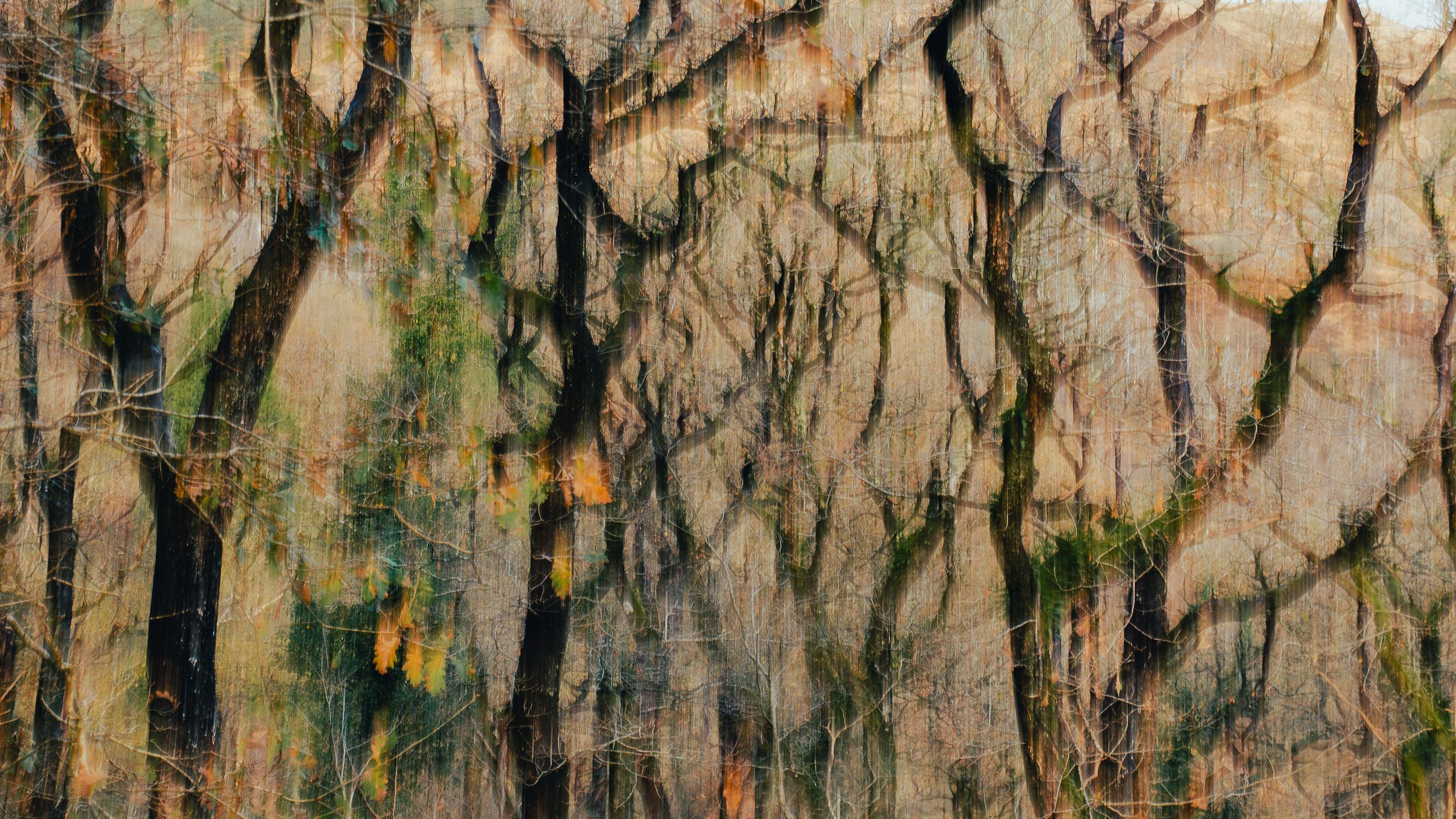 abstract and intimate landscapes-3.jpg