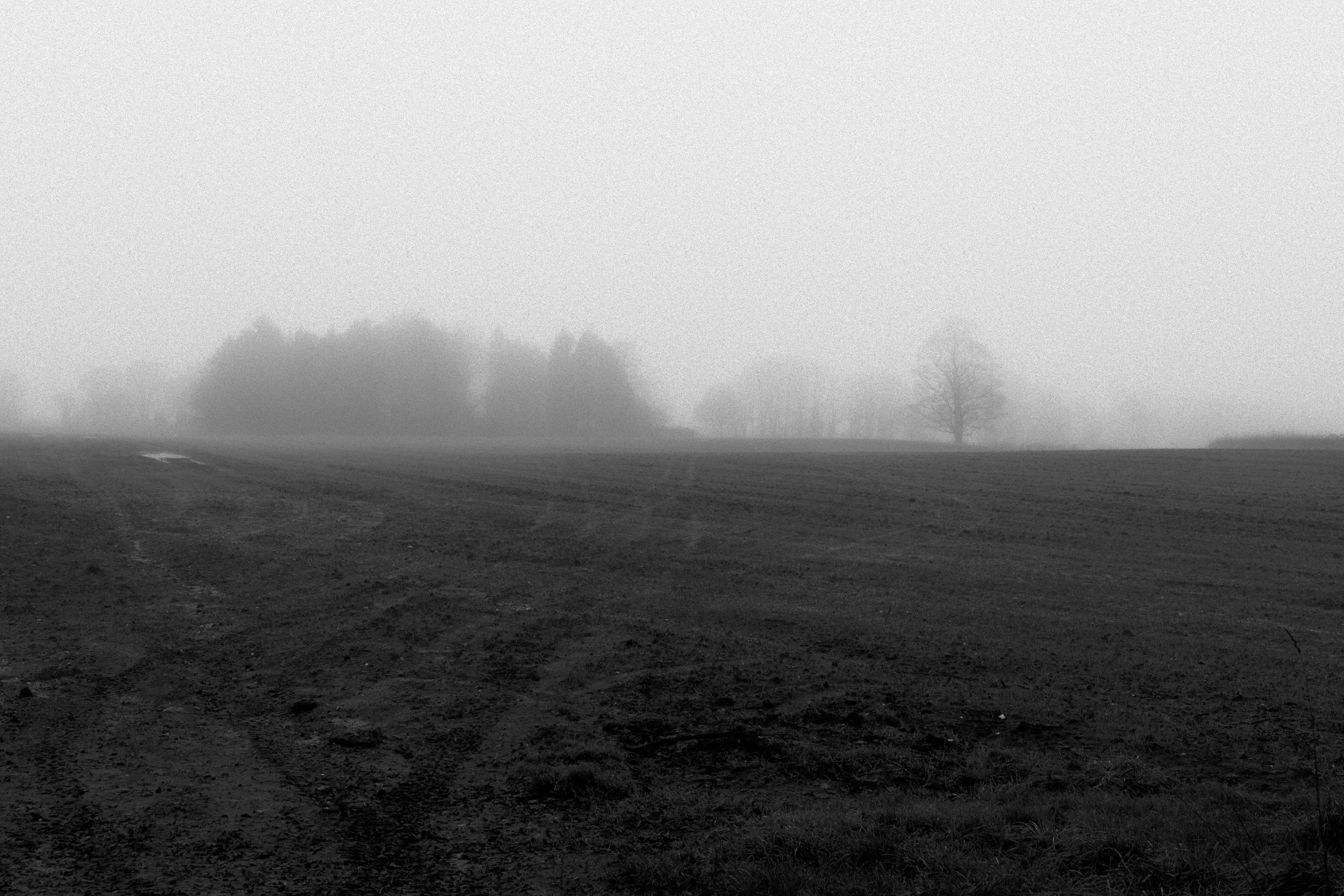 P1064594Borderlands.jpg