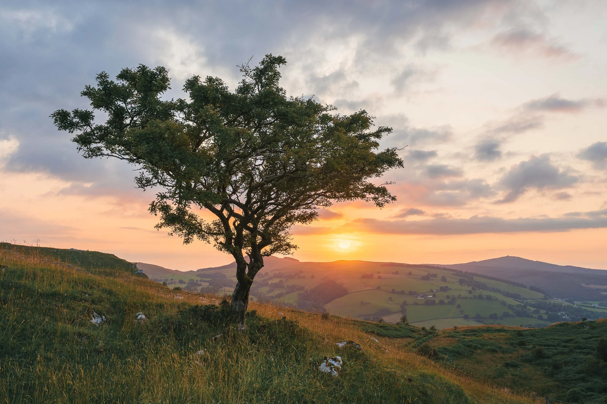 landscapes-5.jpg