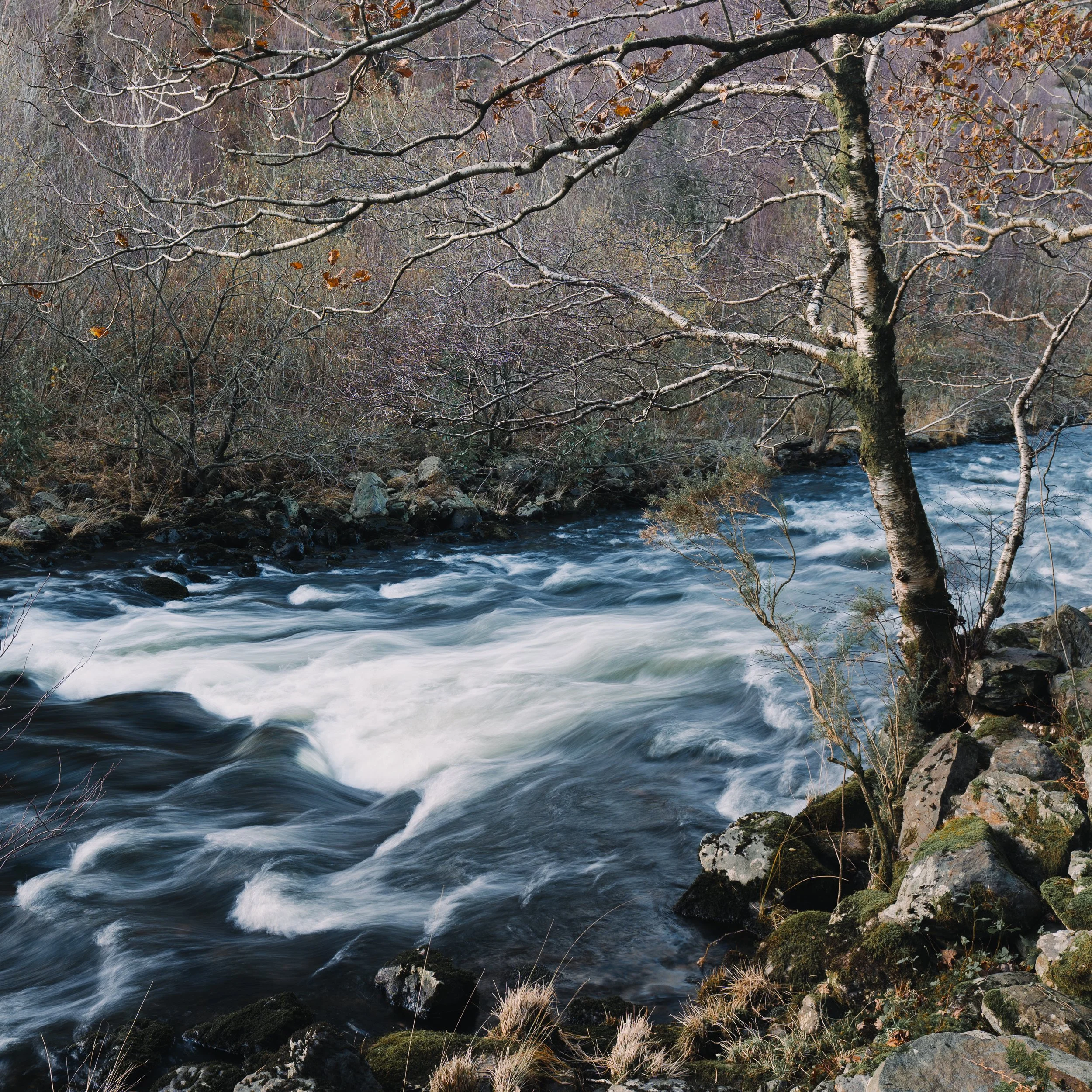 Portfolio-123.jpg