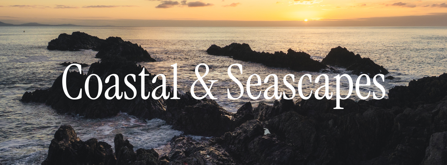 Coastal & Seascapes Gallery.png