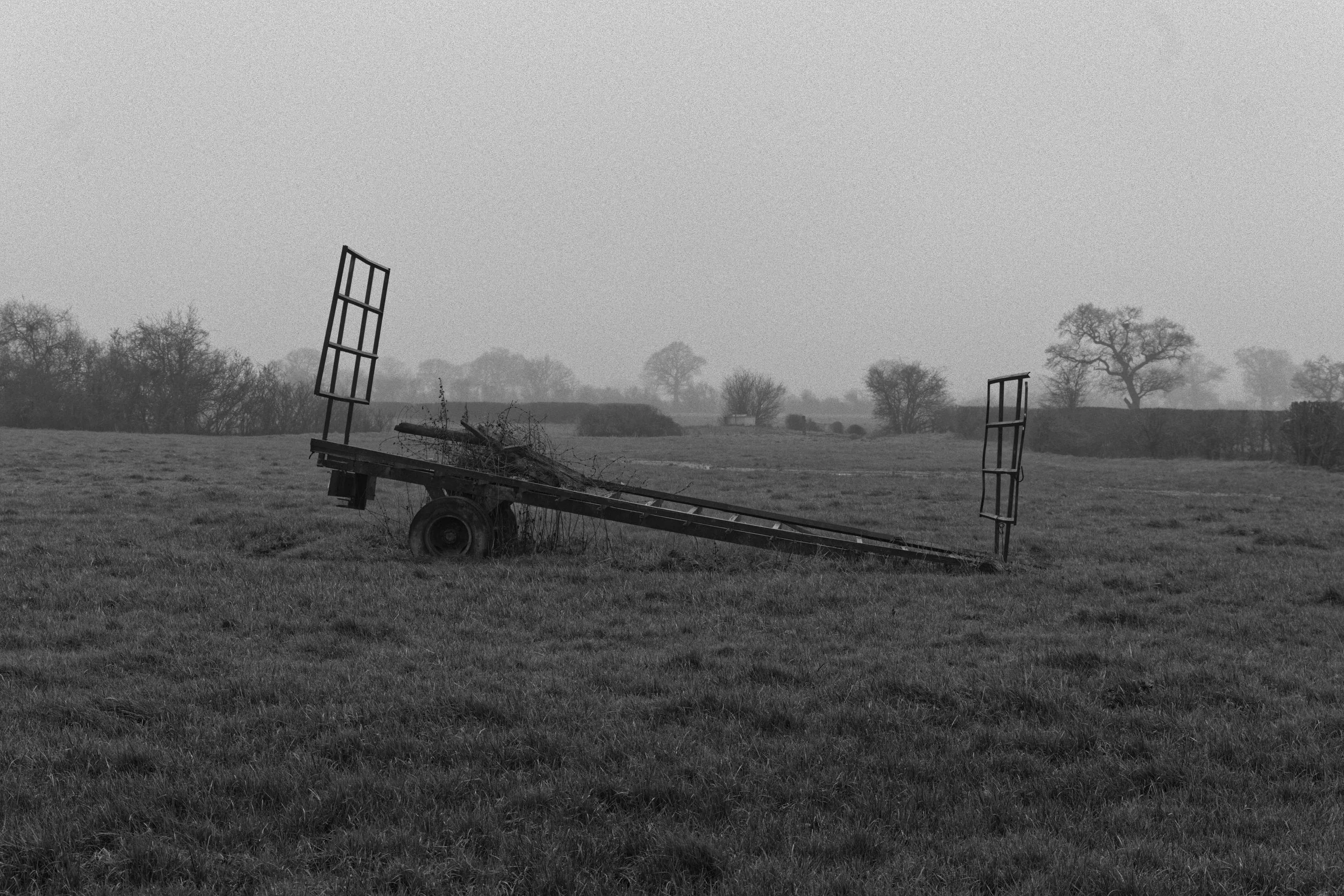 trailer field.jpg