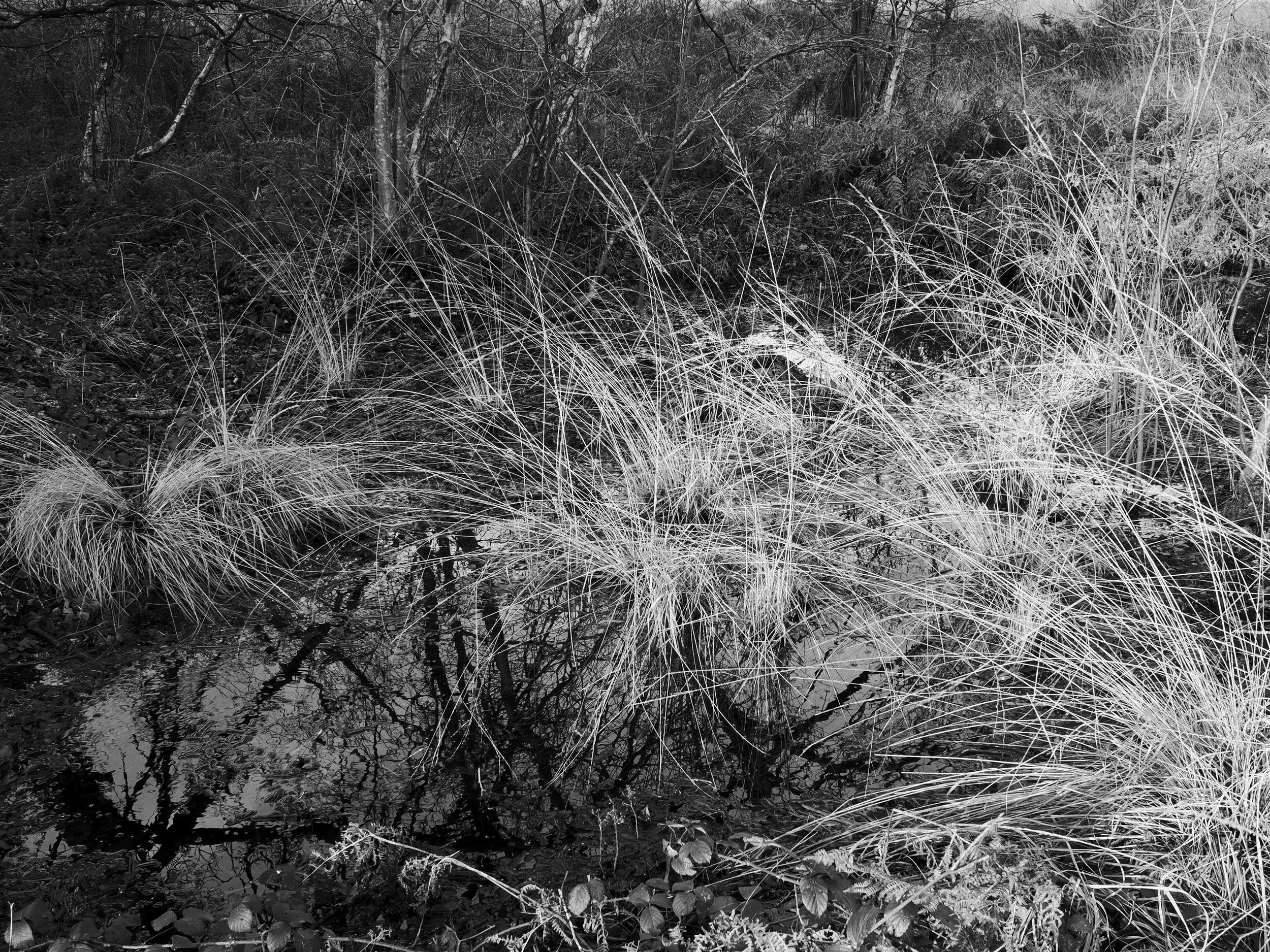 PC240028_MBorderlands.jpg
