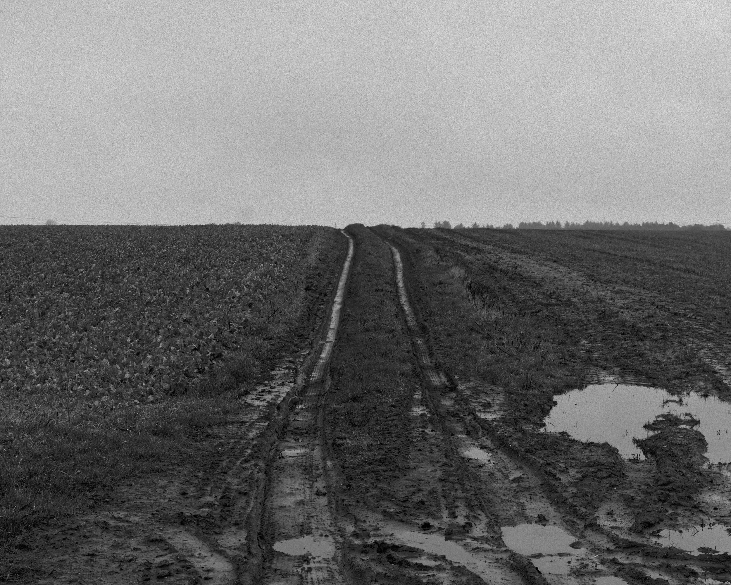 tracks field.jpg