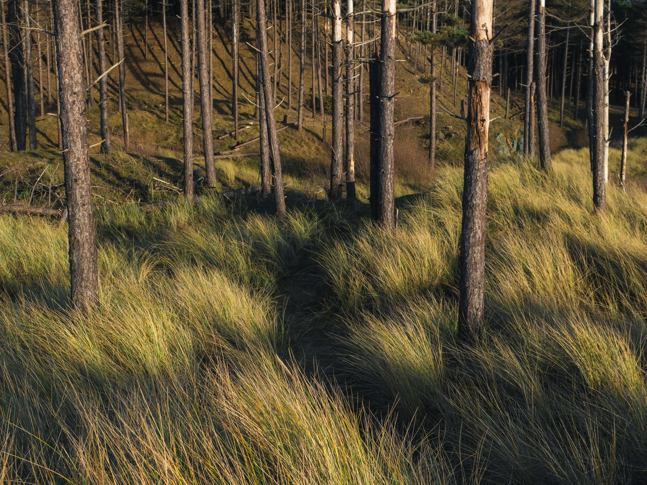 best photos jan 2026.jpg