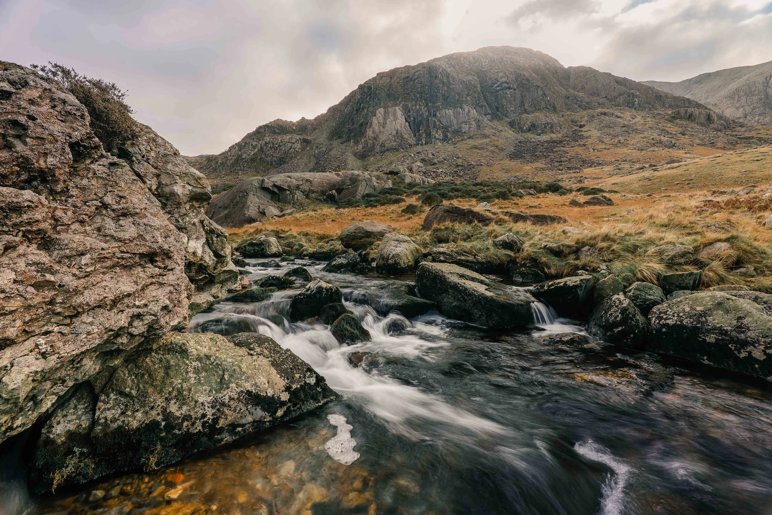 landscape gallery-8.jpg