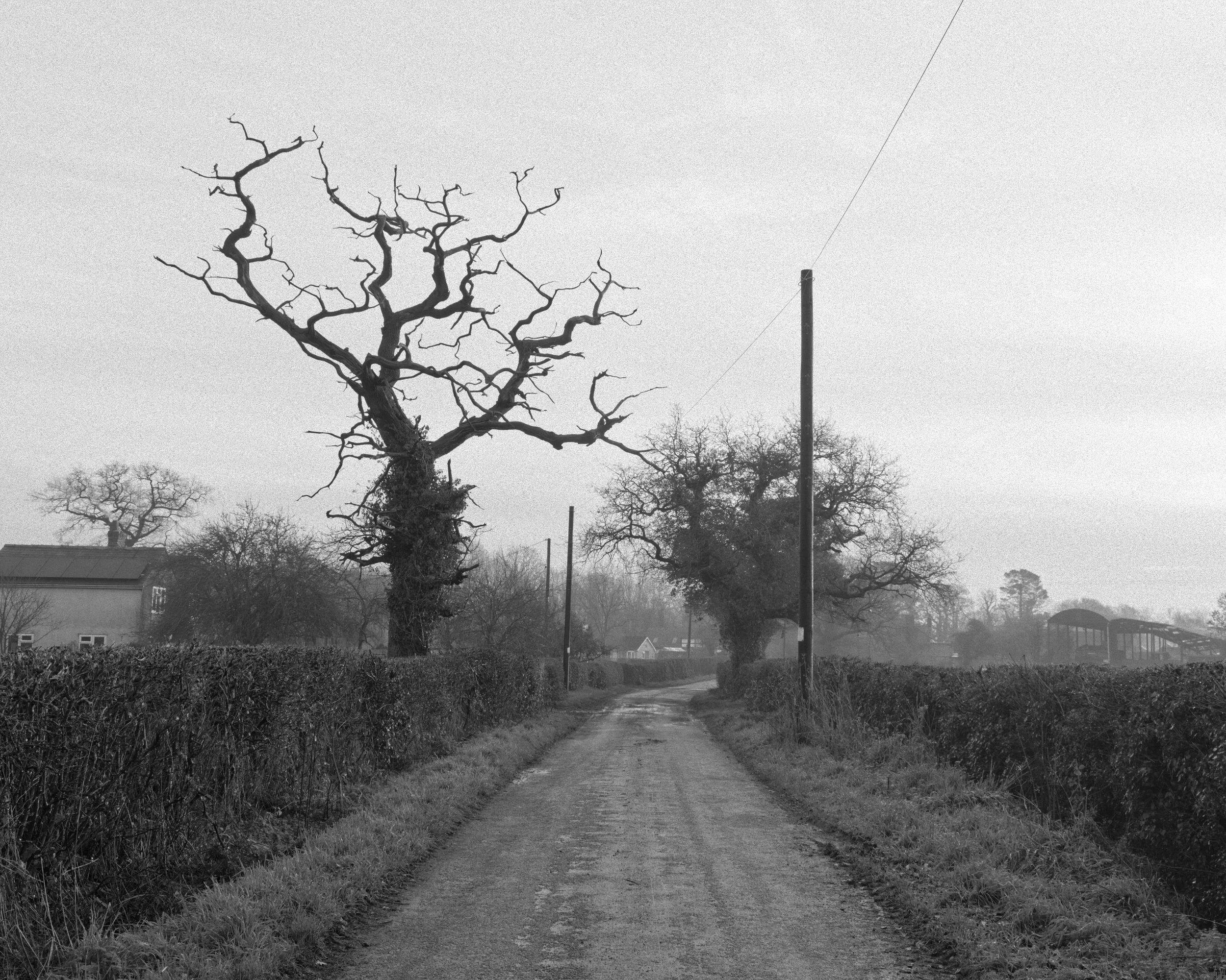 P1213422_MBorderlands.jpg