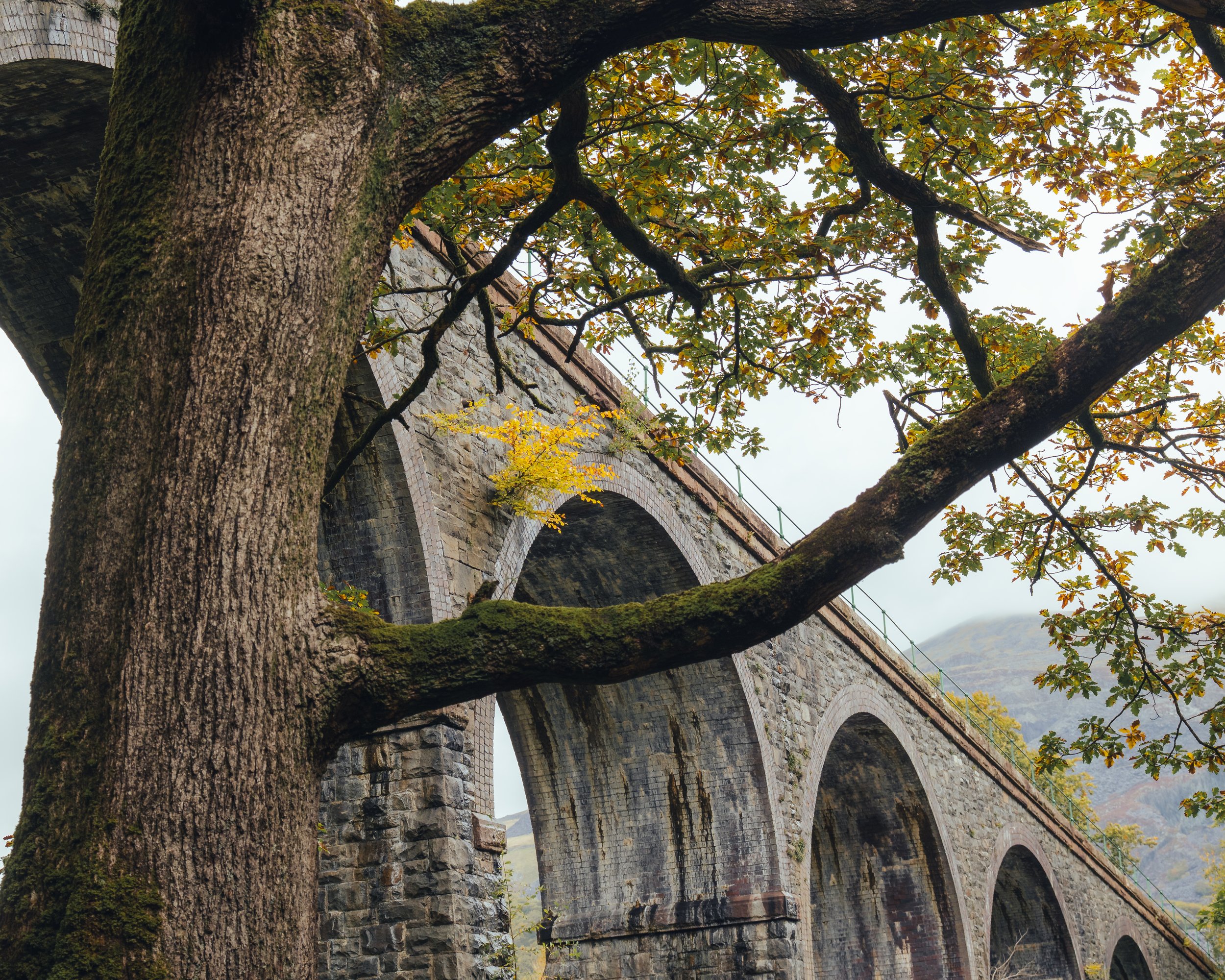 Llanberis Railway Bridge Autumn.jpg
