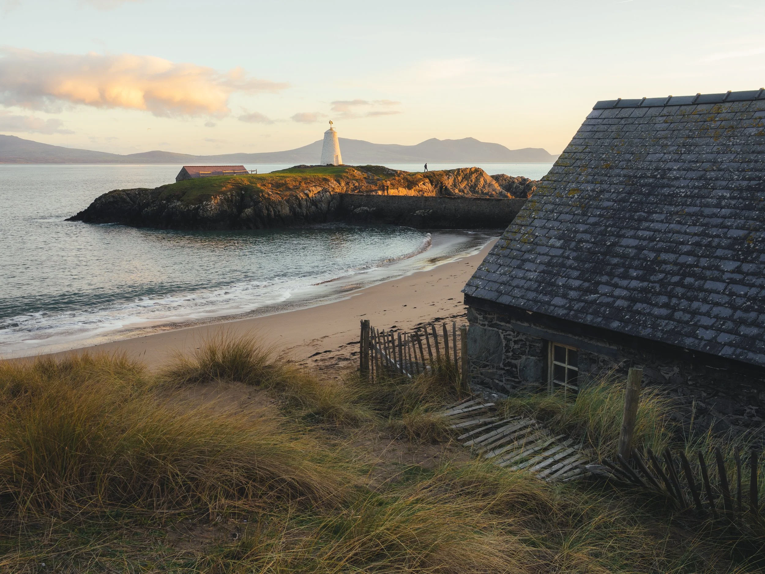 impatient crossings-6.jpg