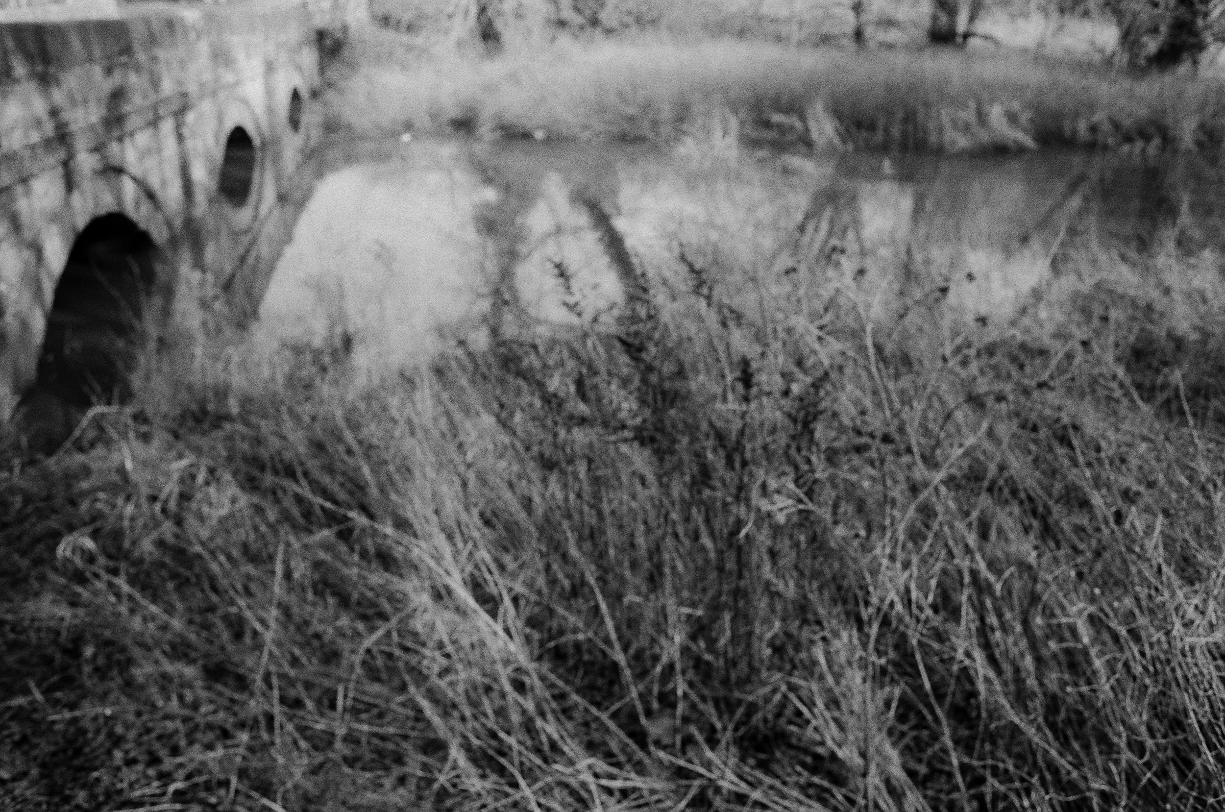 aldford kentmere.jpg