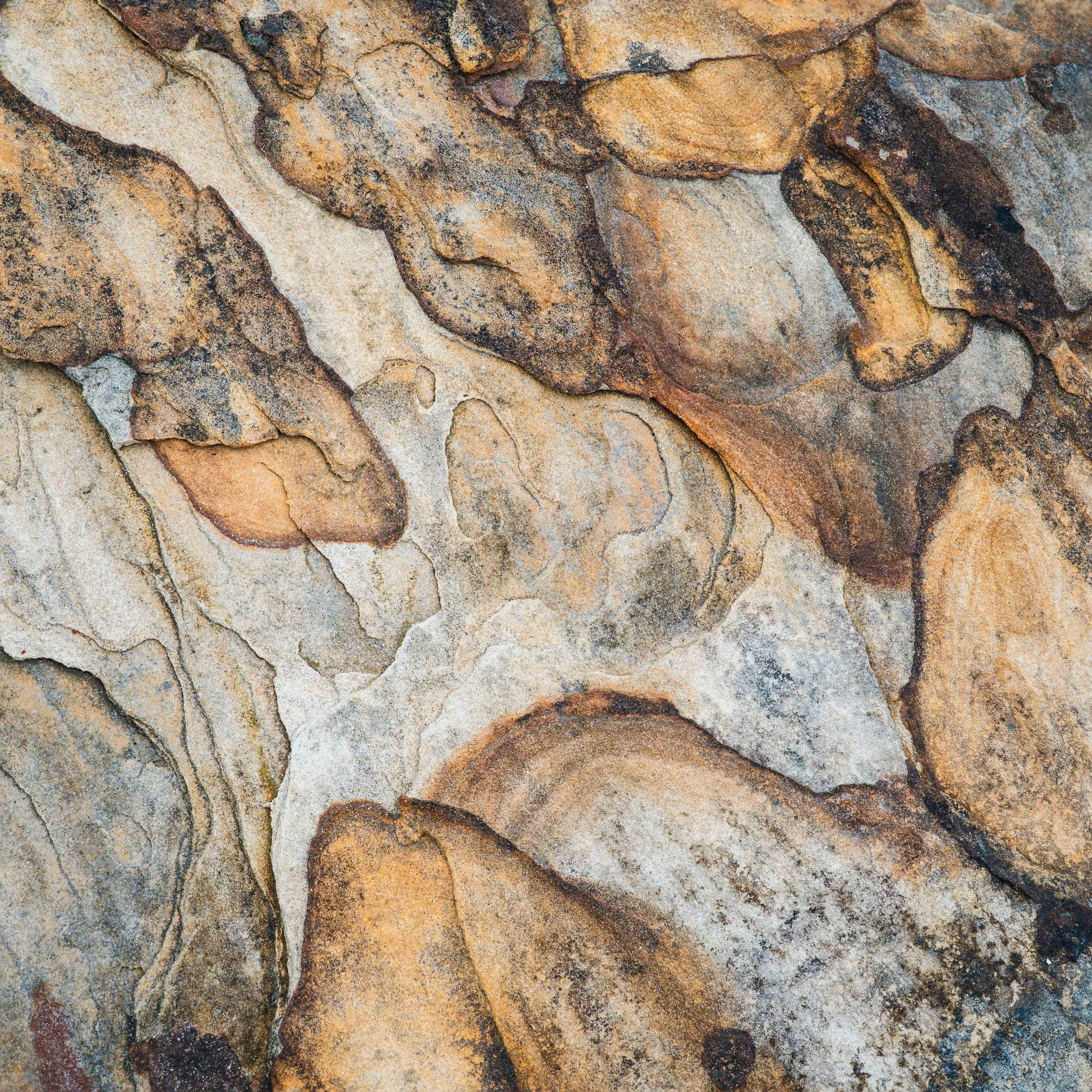 Coastal Portfolio-16.jpg