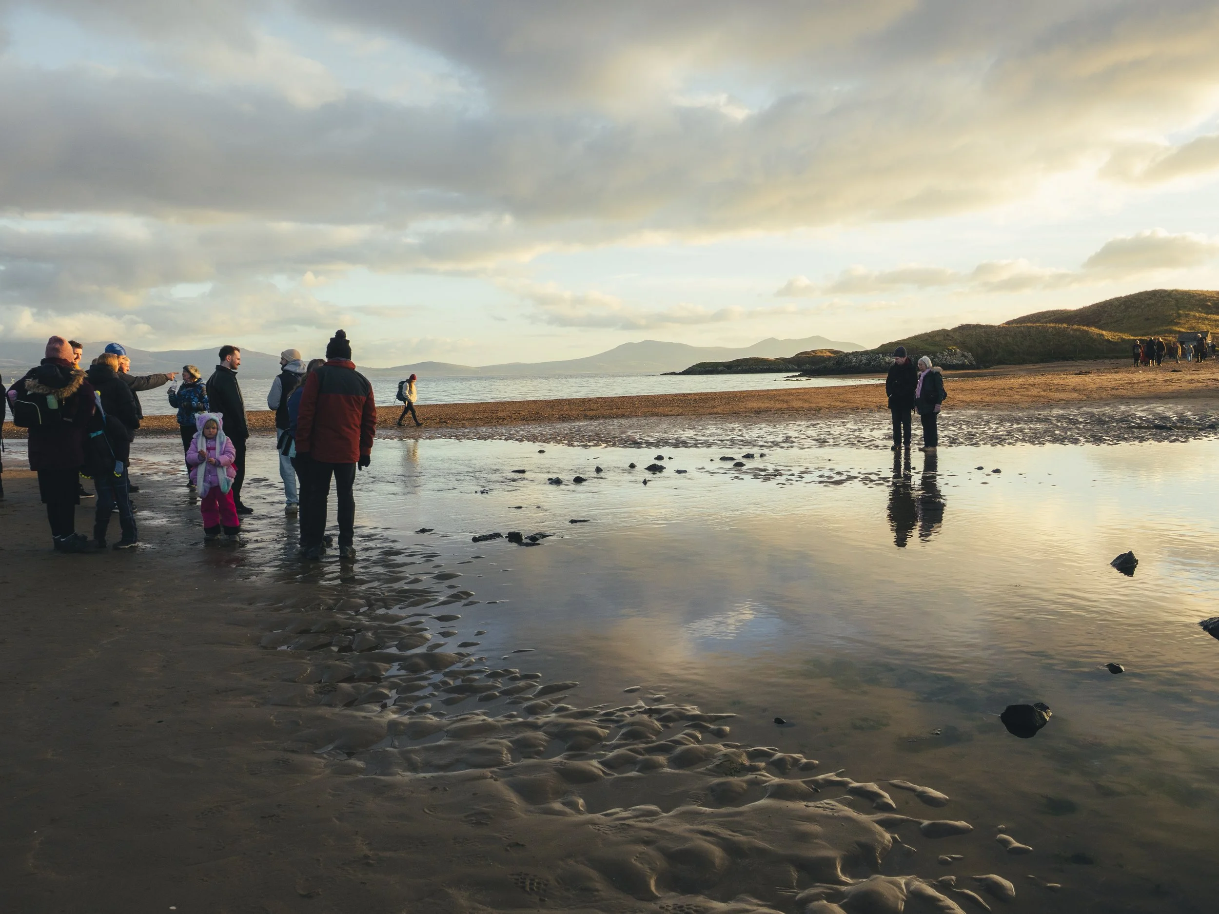 impatient crossings-5.jpg