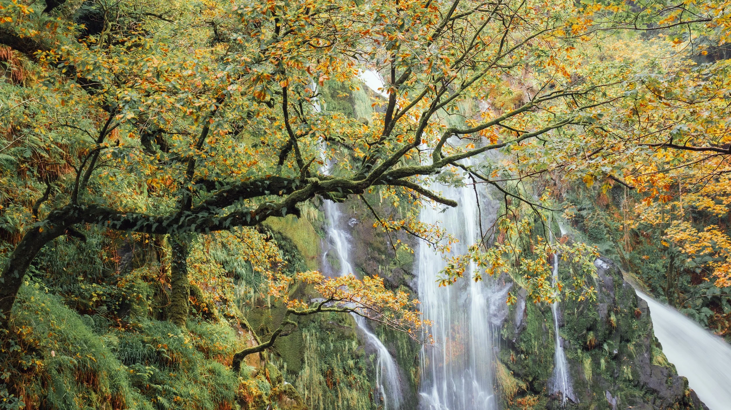 Llanberis Waterfall.jpg