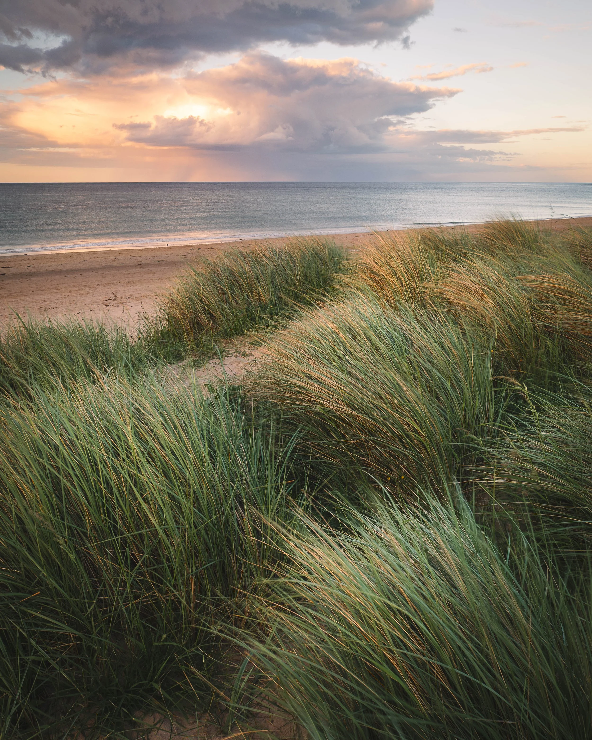 Coastal-4.jpg