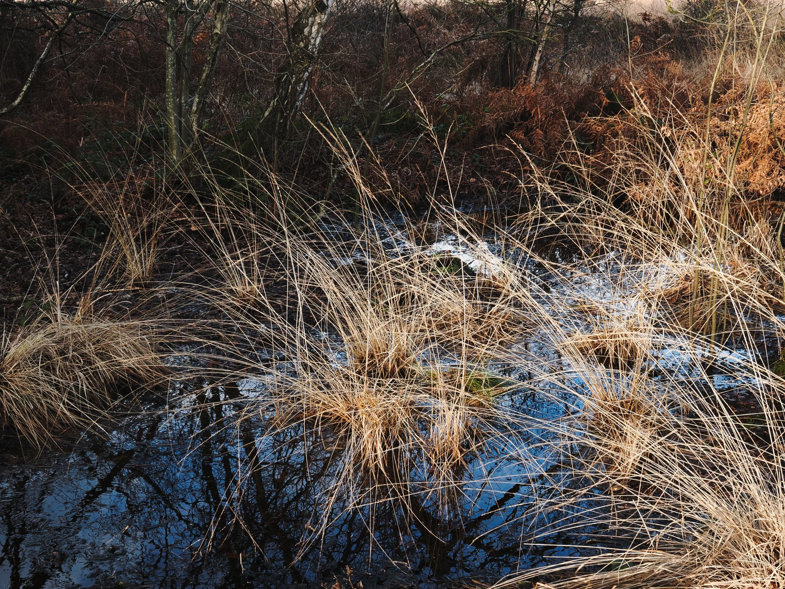 PC240028_DxO.jpg
