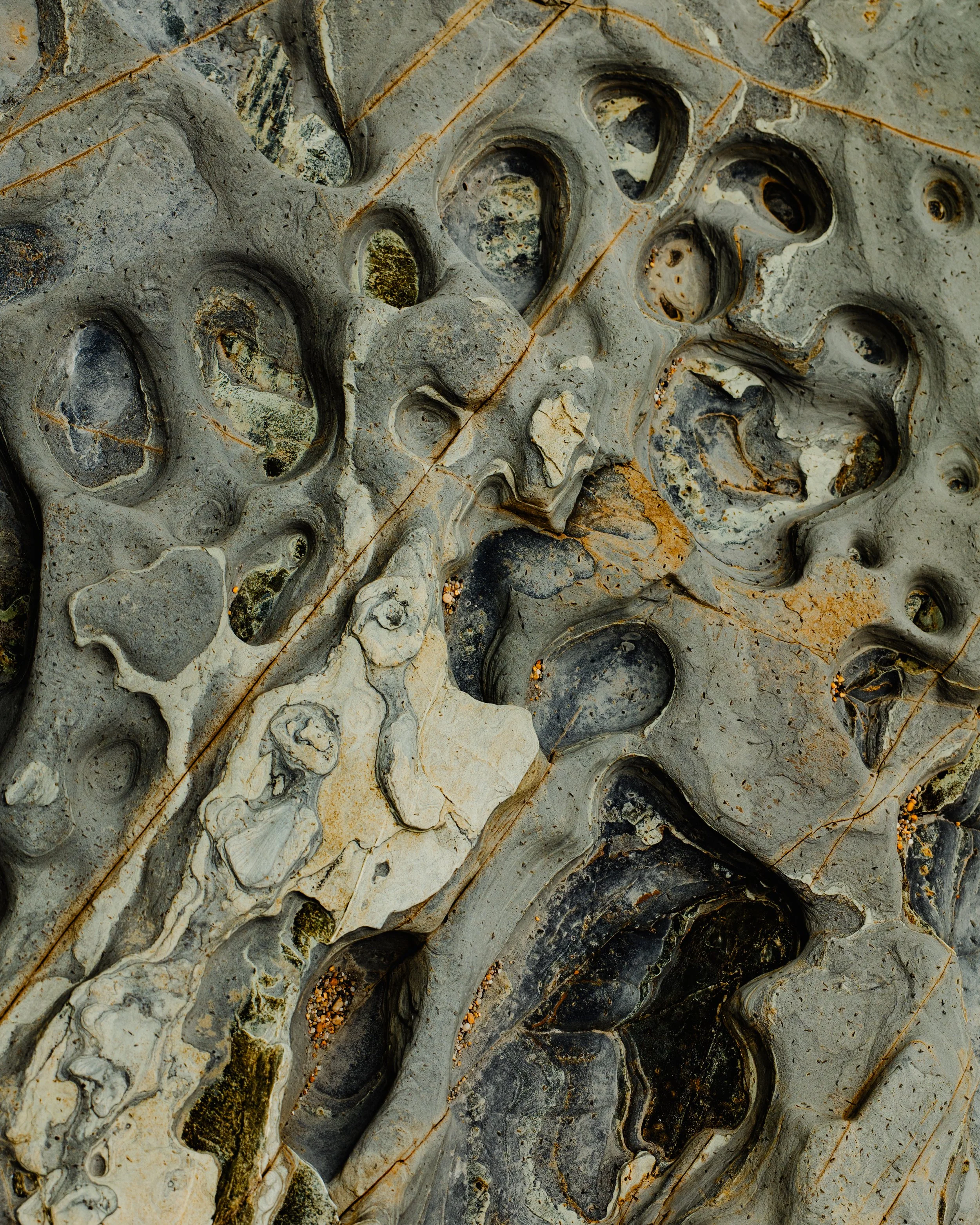 coastal textures.jpg