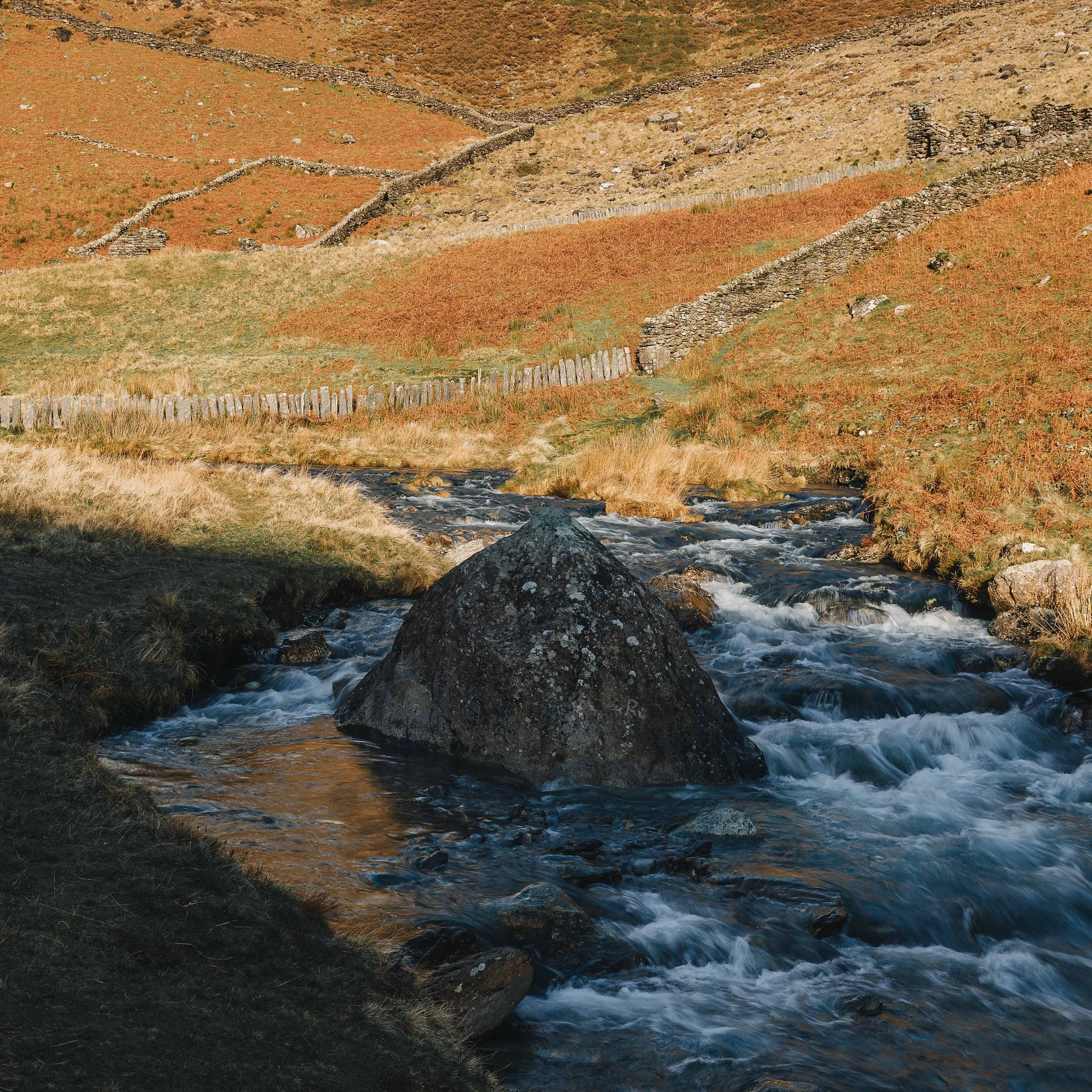 landscape gallery-9.jpg