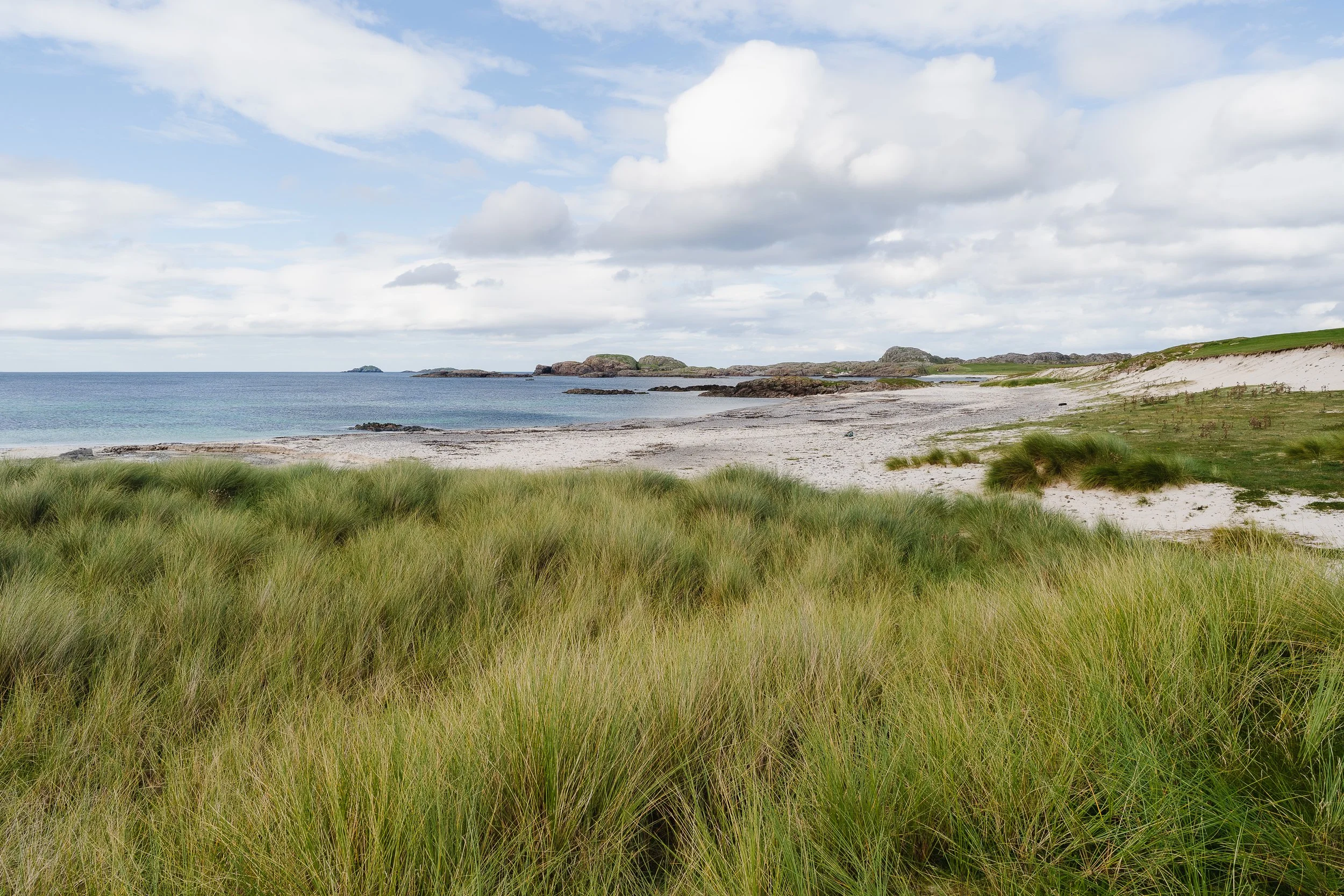 portfolio additions-2.jpg