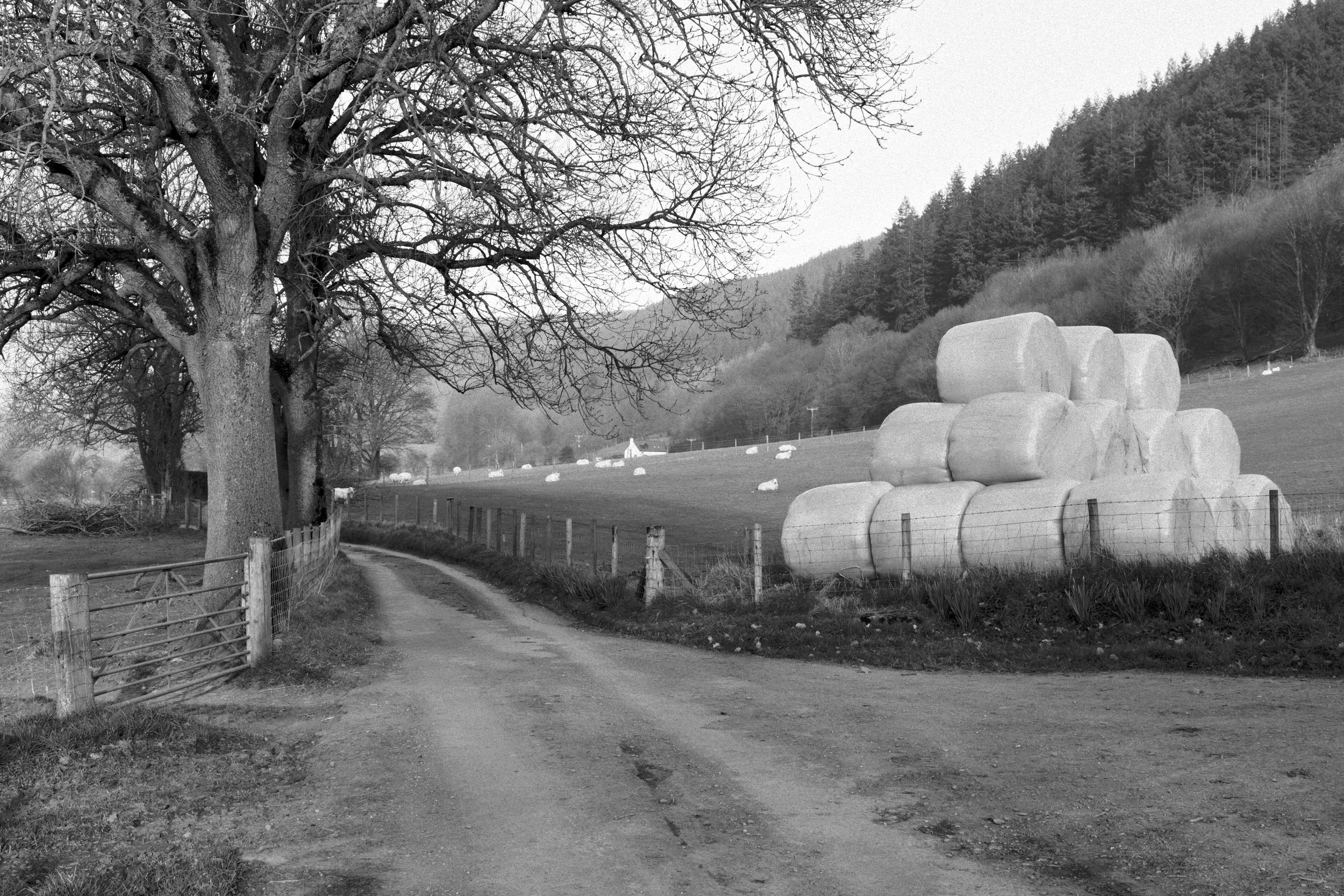 P1077512Borderlands.jpg