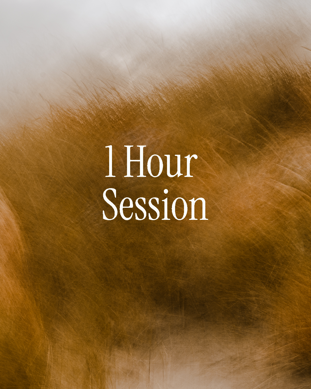 1-to-1 Photography Mentoring Session (1 hour)