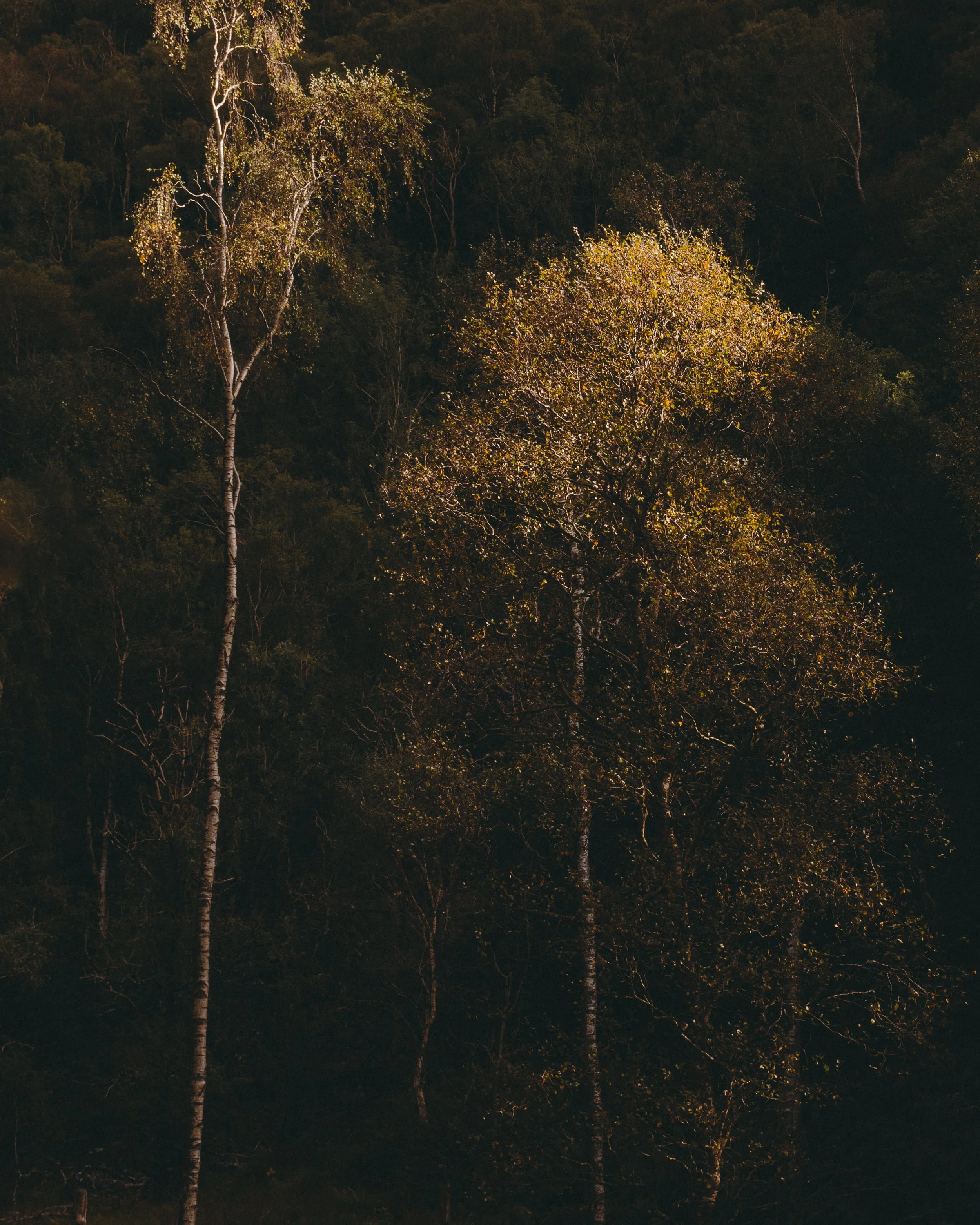 best photos-155.jpg
