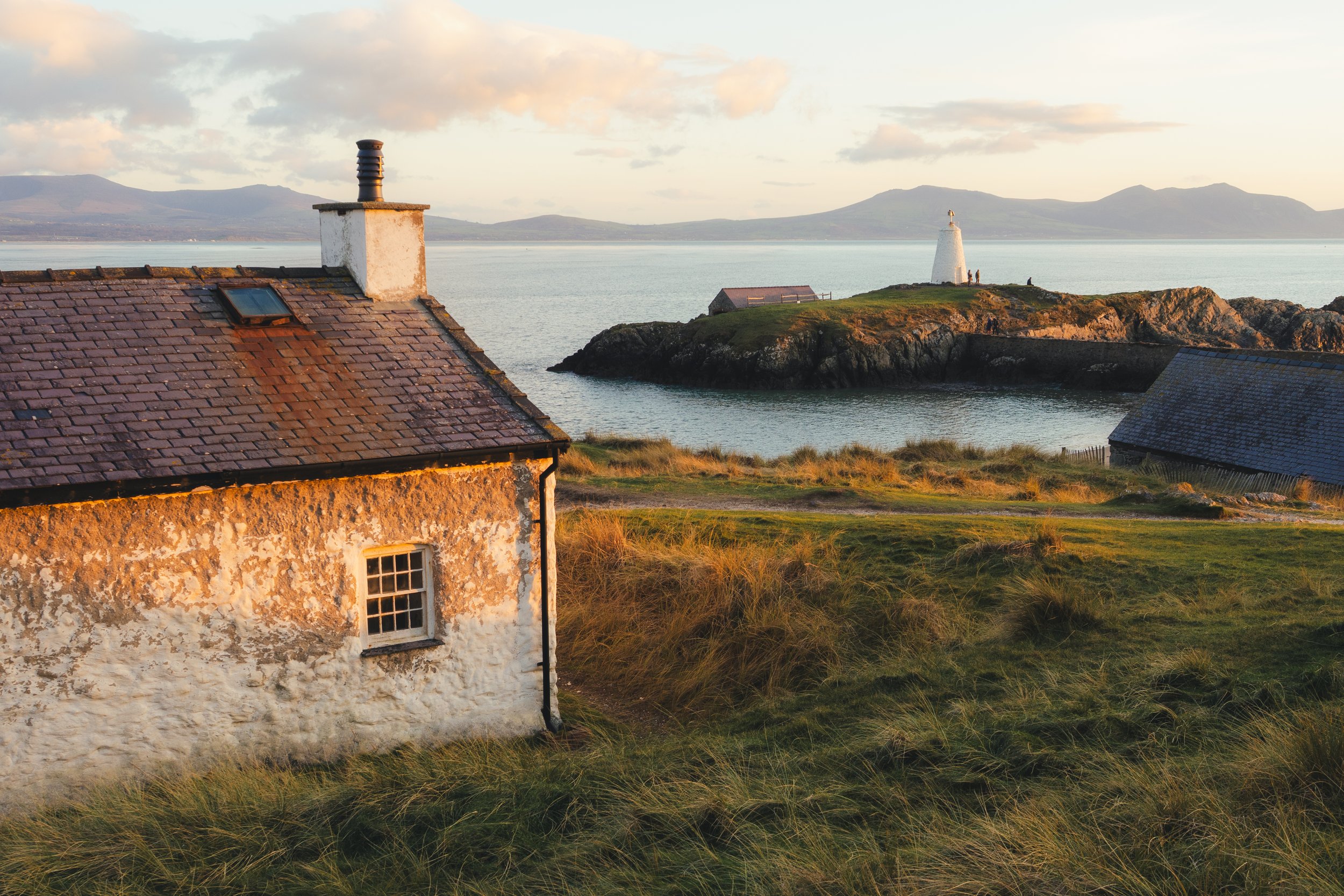 best photos jan 2026-3.jpg