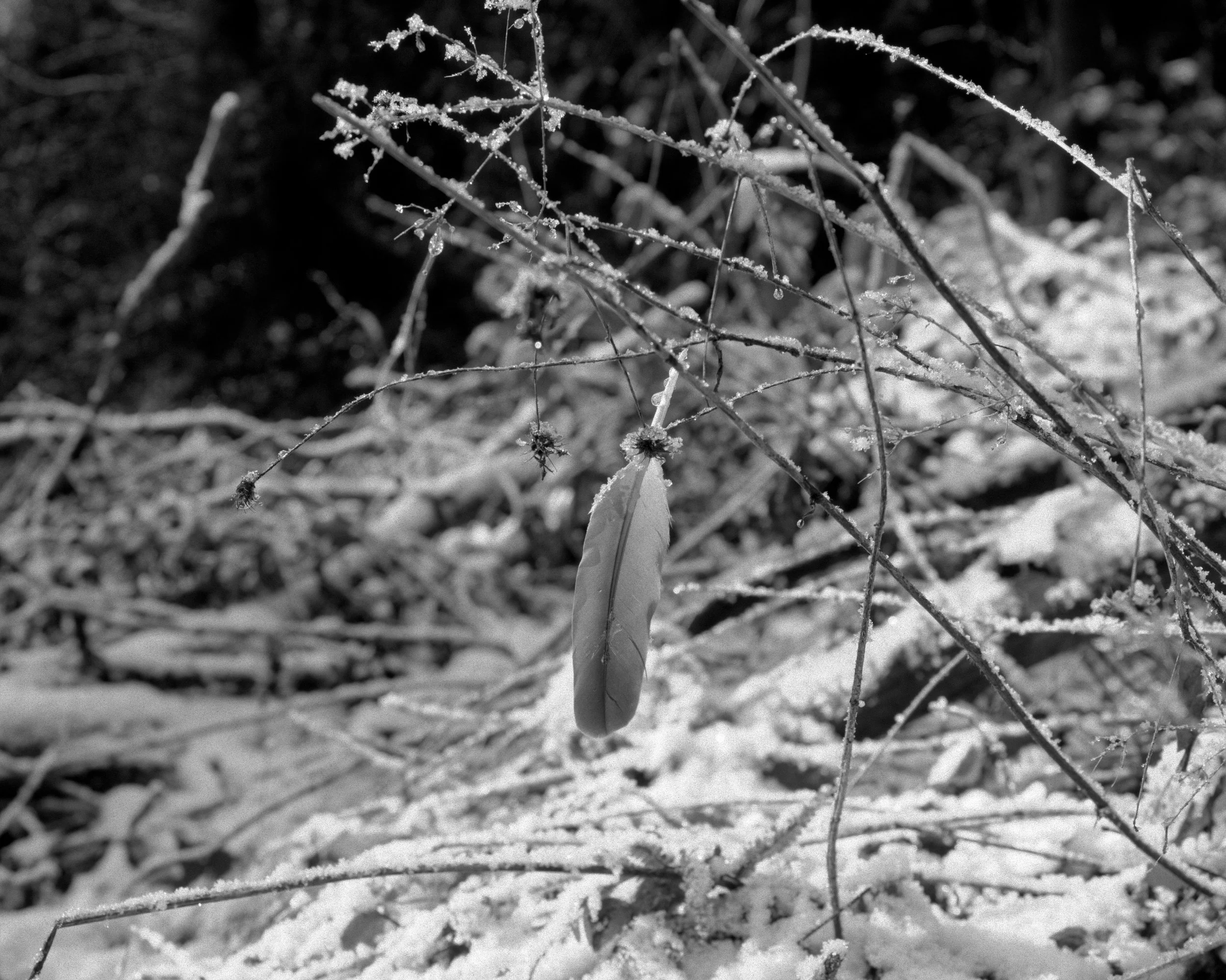 P1050319Borderlands.jpg