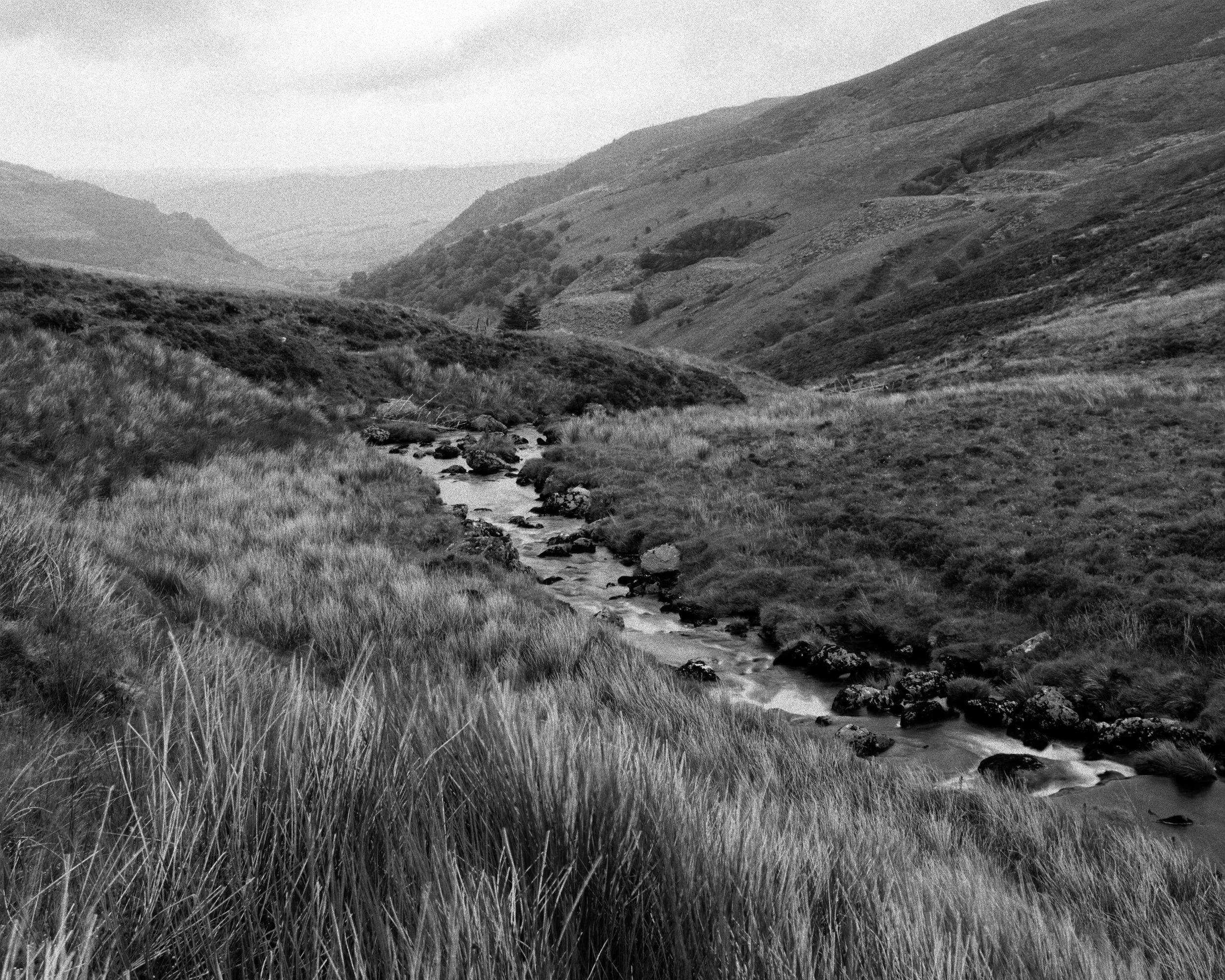 P1113082_DxO.jpg