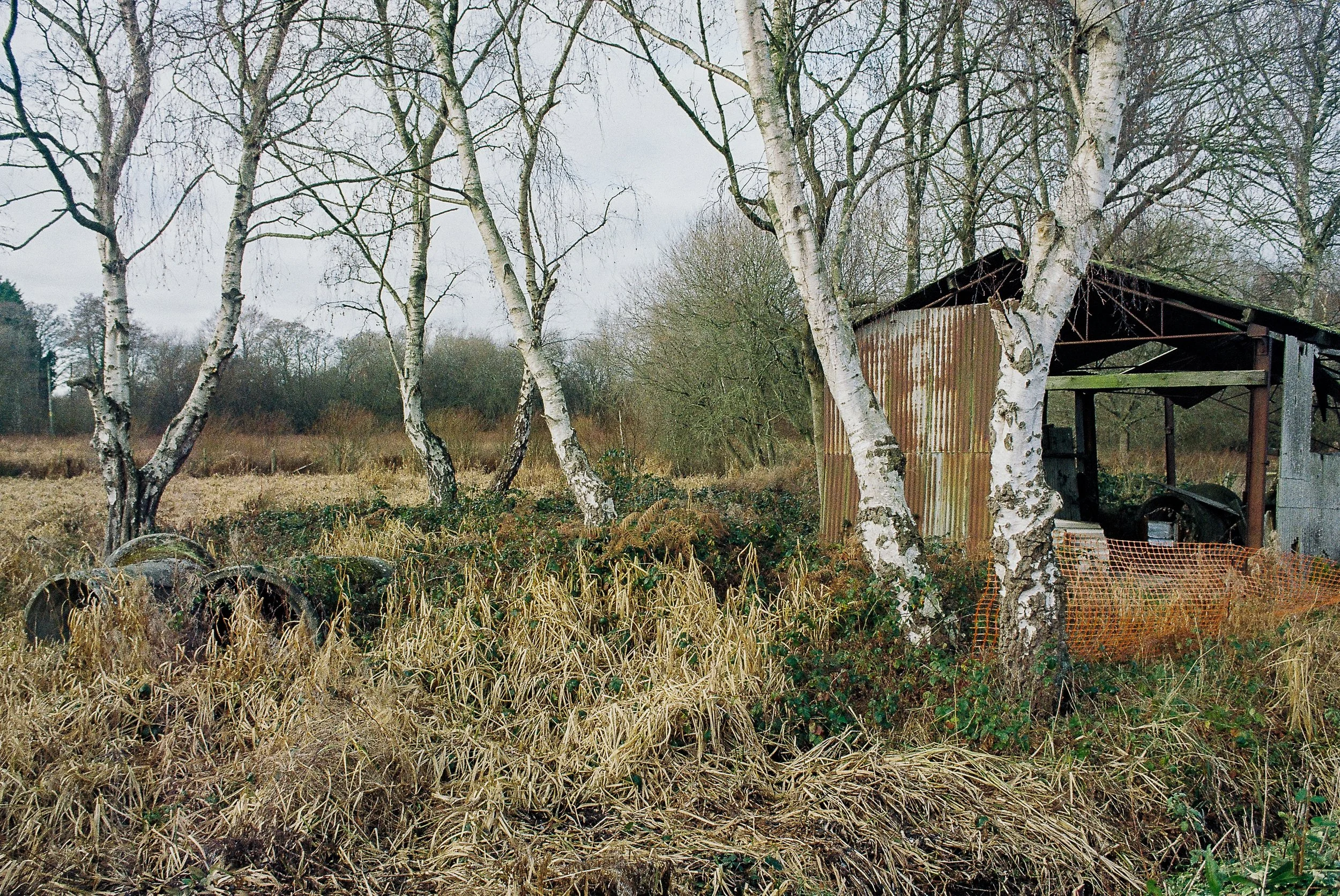 ColorPlus 200 February 2026-3.jpg