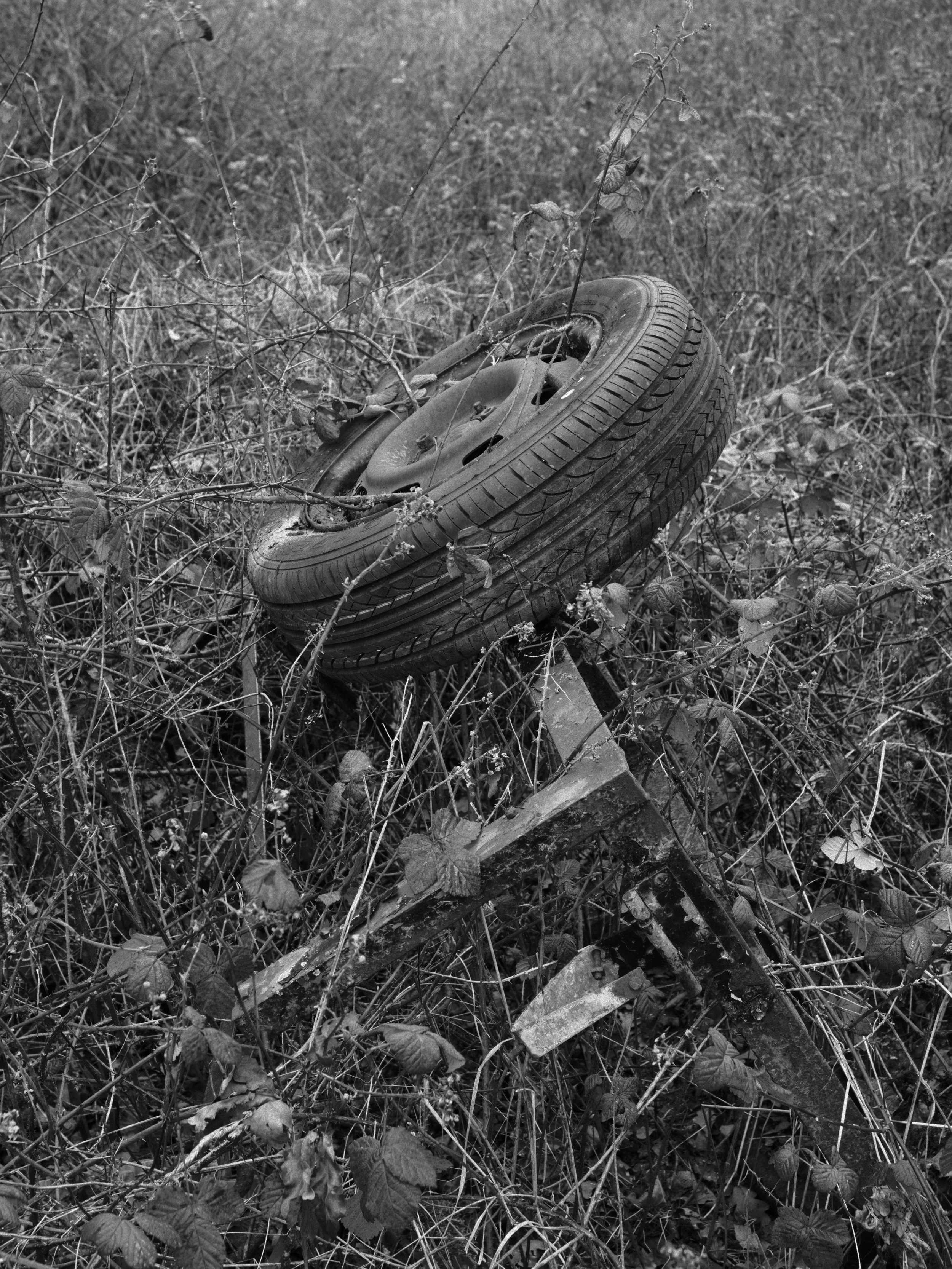 wheel in field.jpg