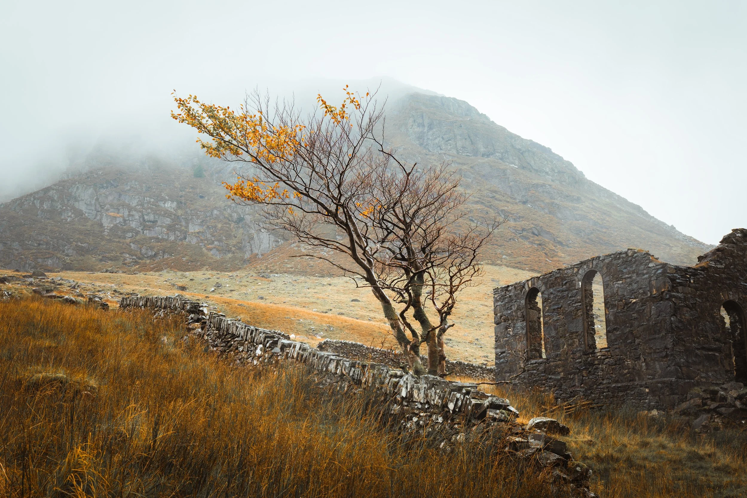 Cwmorthin Autumn Leaves.jpg