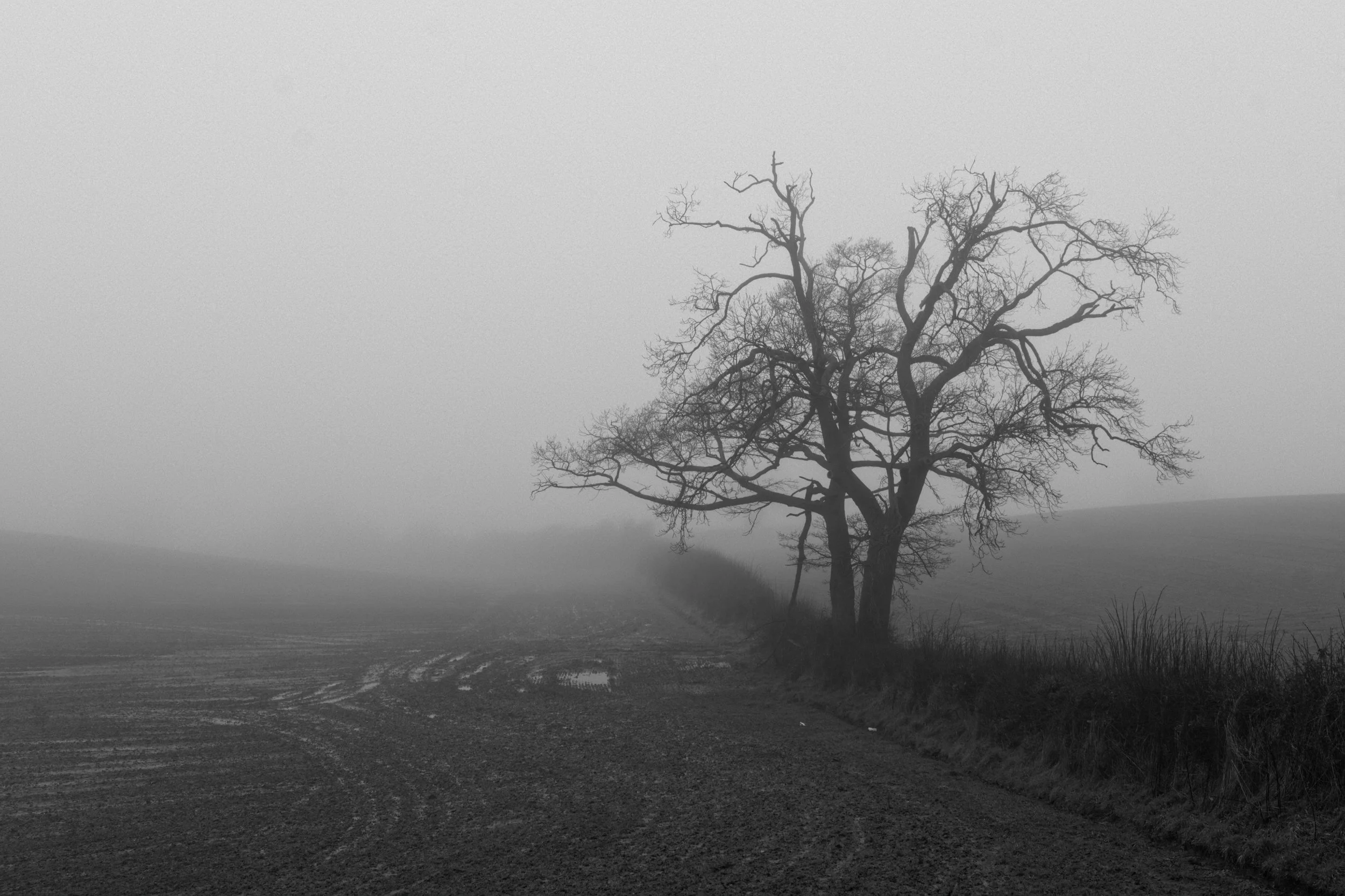 P1064493_DxO.jpg