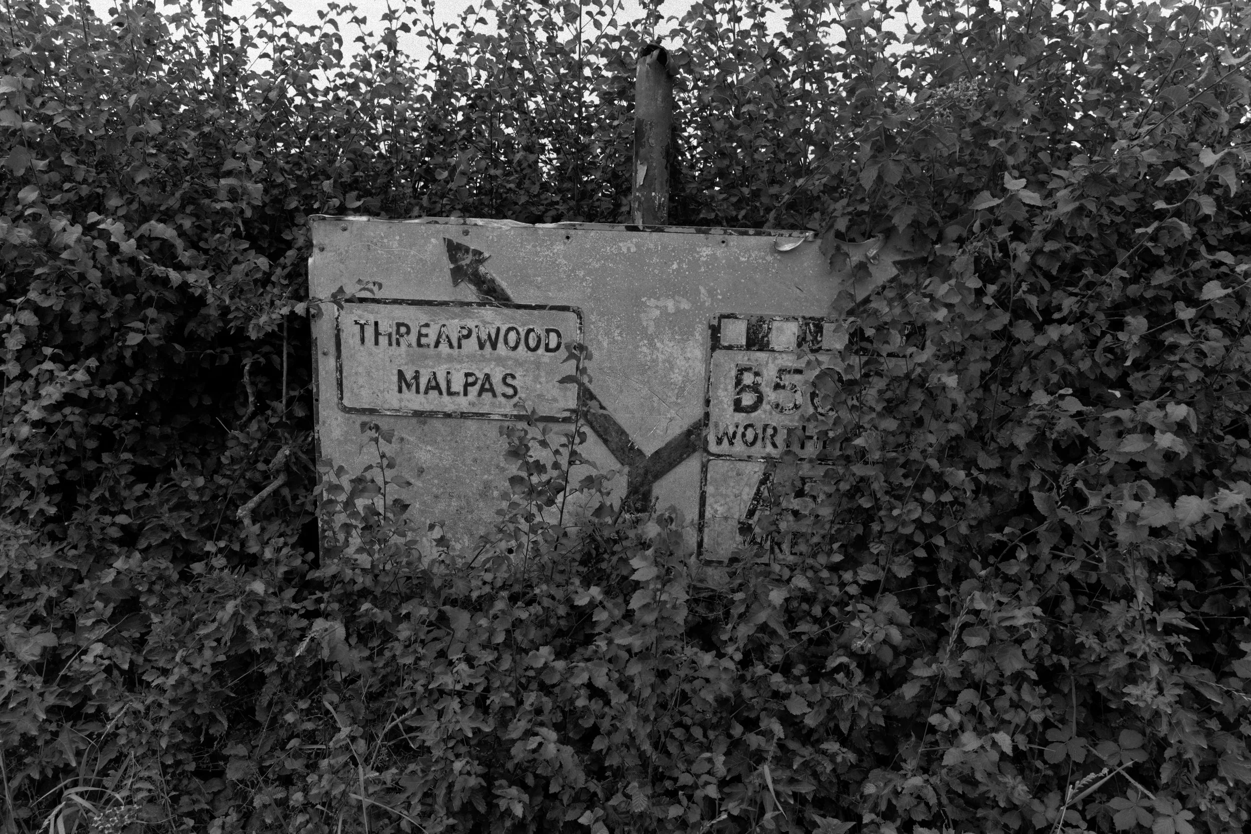 signage.jpg