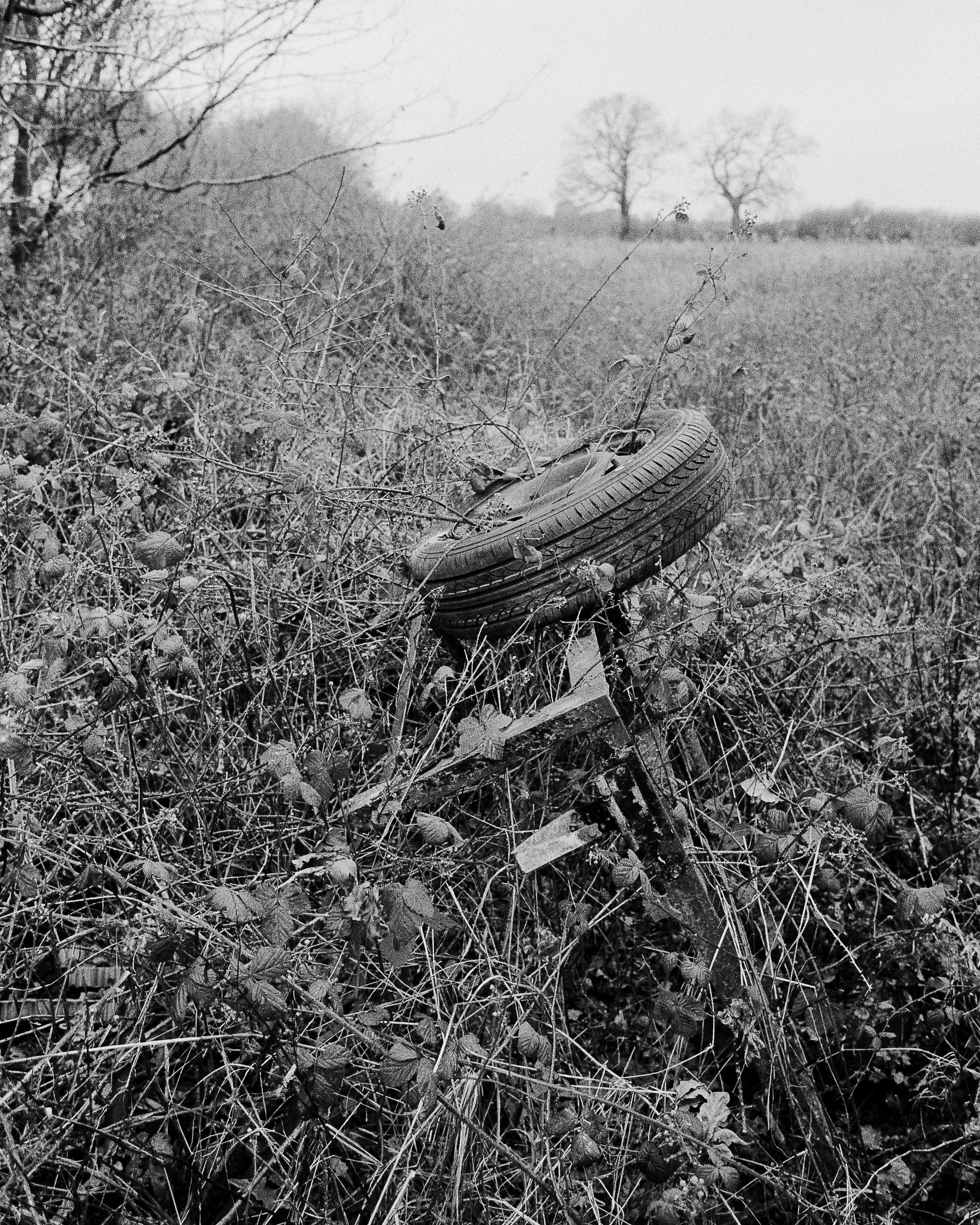 Kentmere 400 Feb 2026-17.jpg