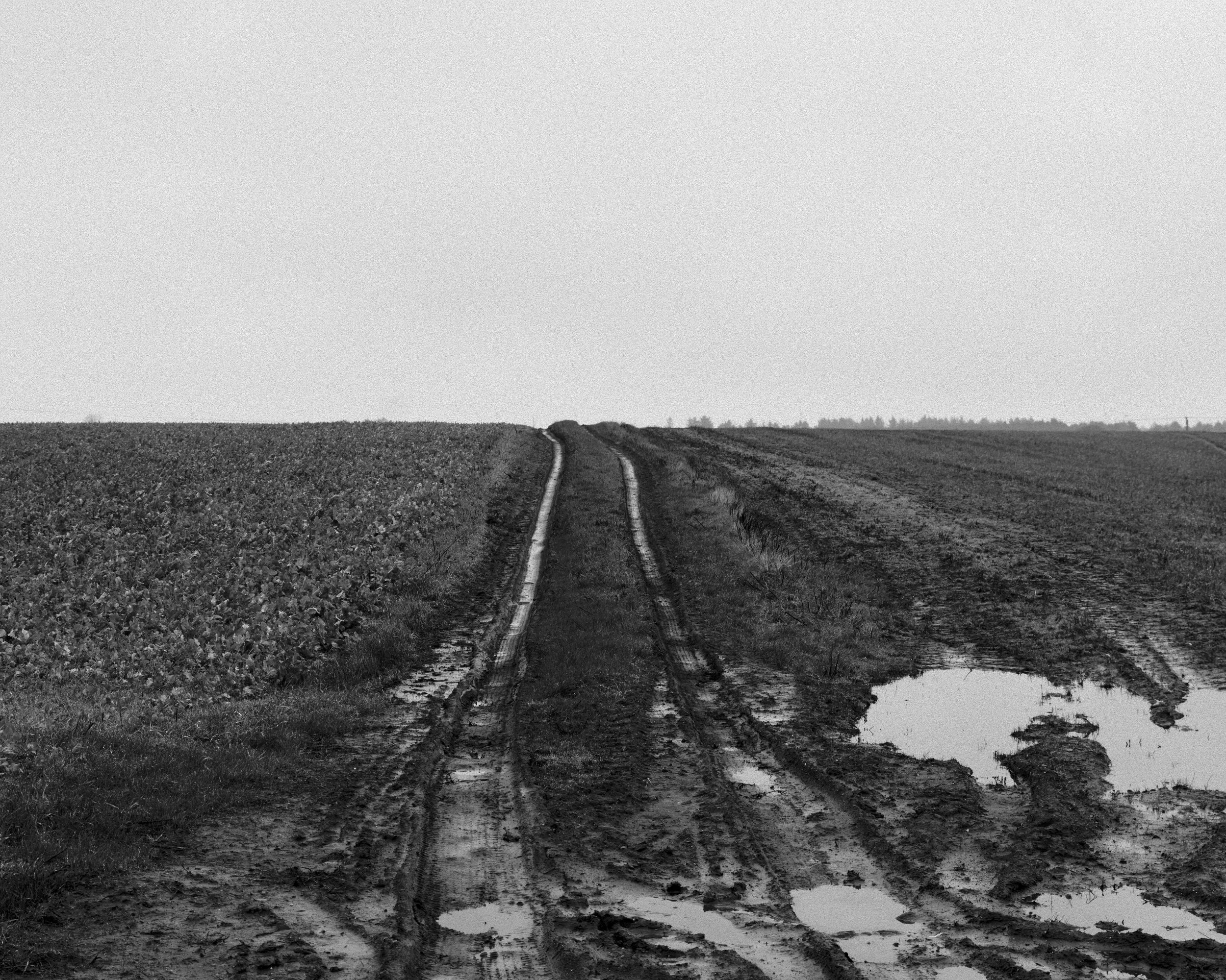 P1064364Borderlands.jpg