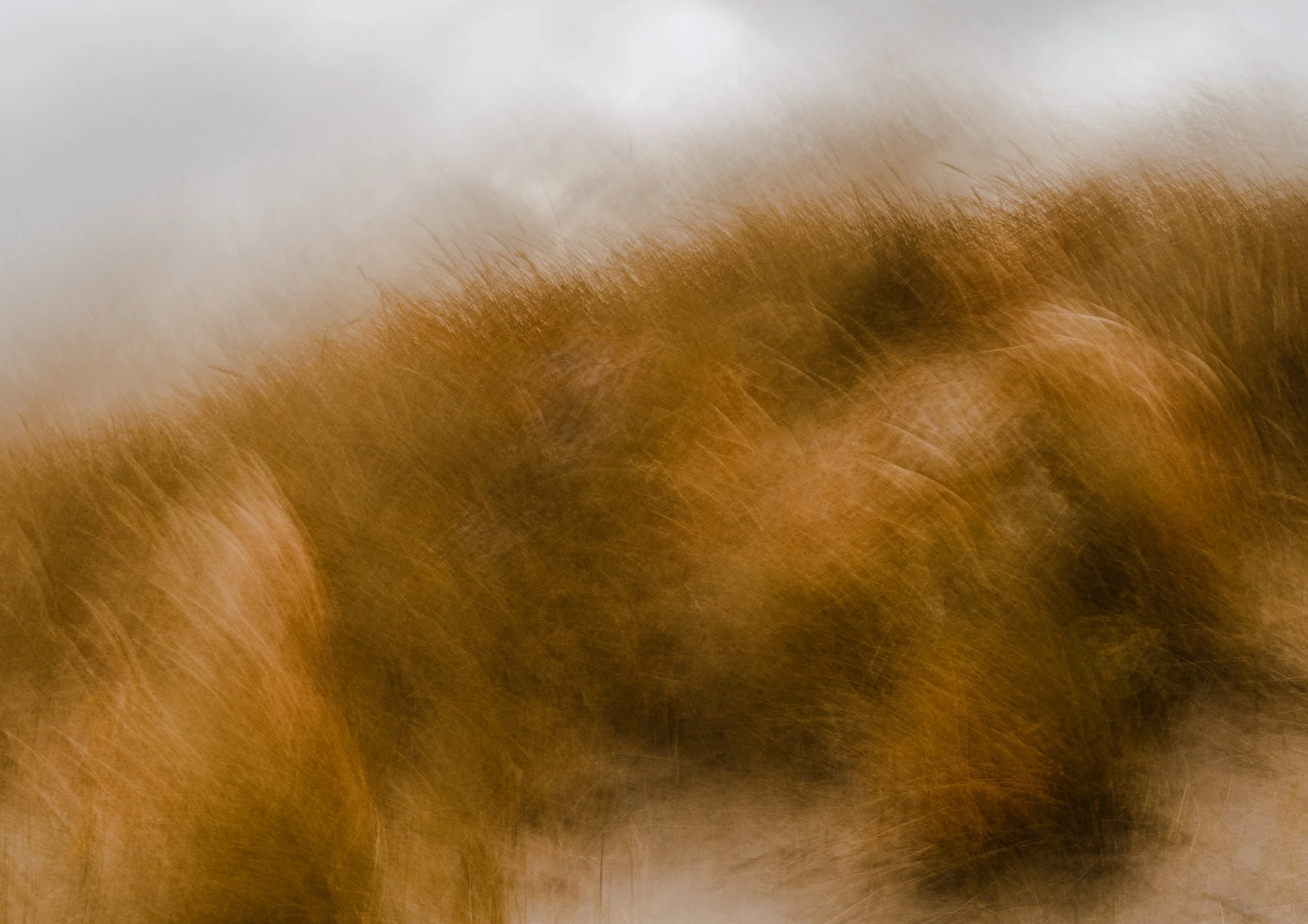 impression of the welsh landscape-2.jpg