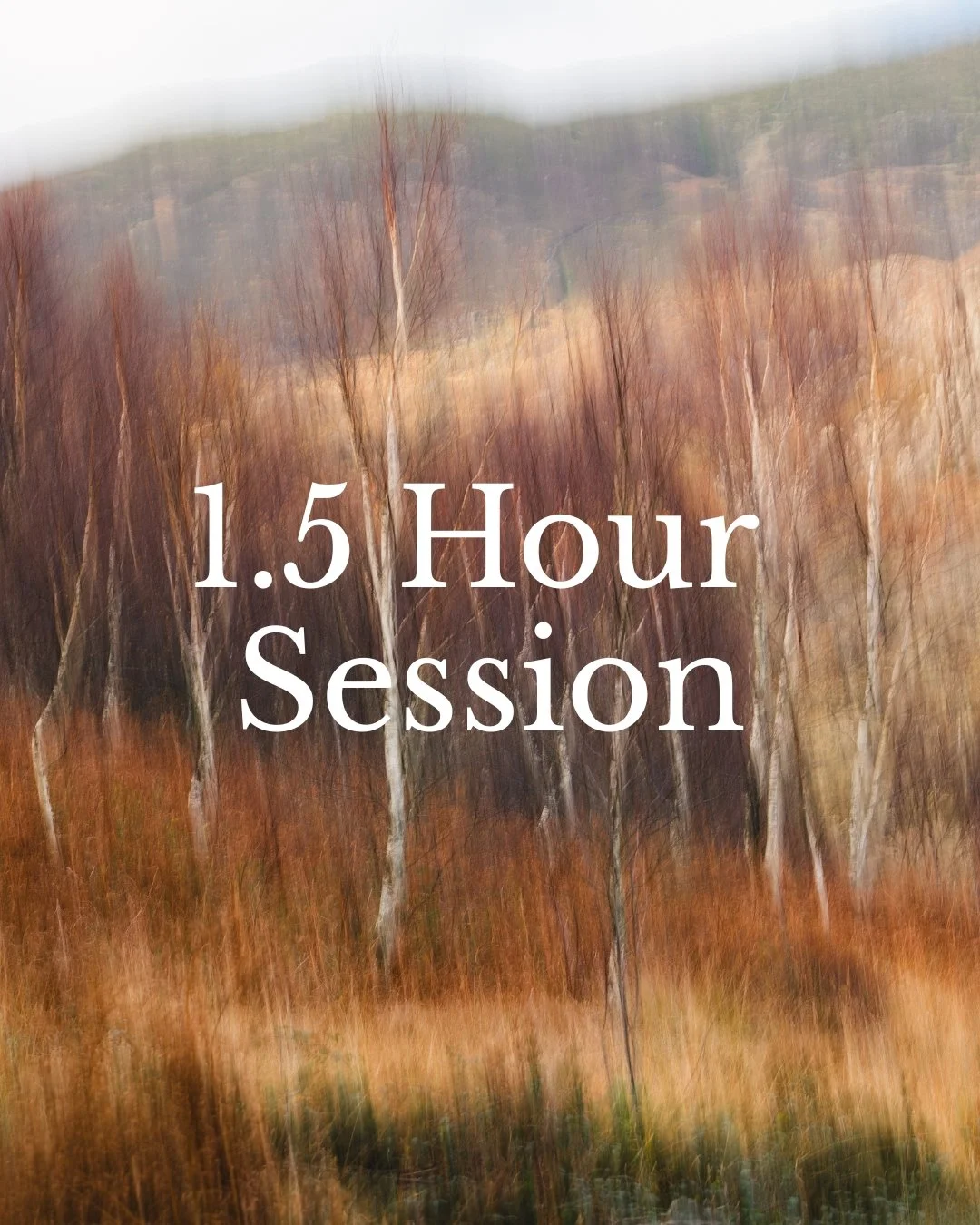 1-to-1 Photography Mentoring Session (1.5 hours)