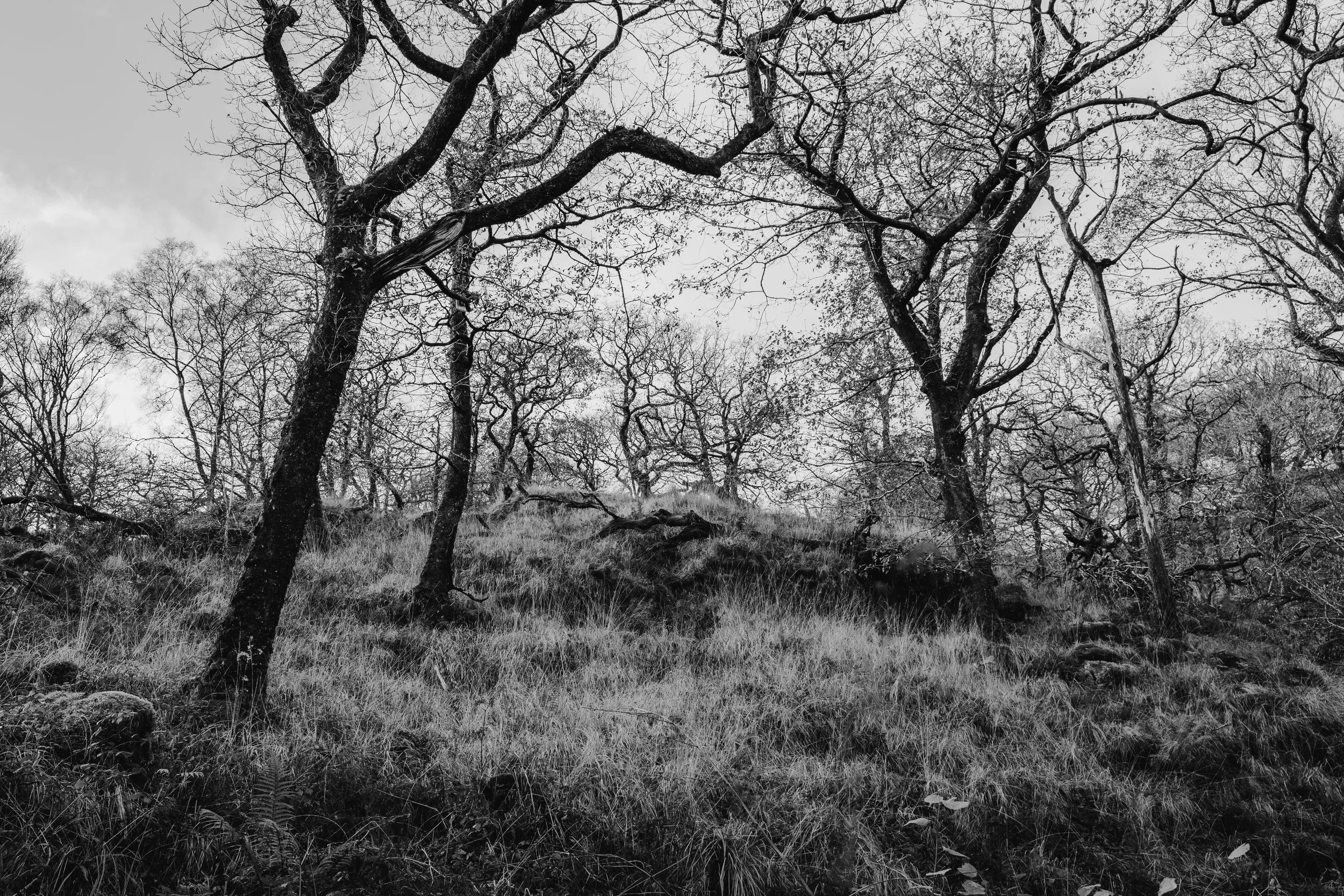 Portfolio-129.jpg