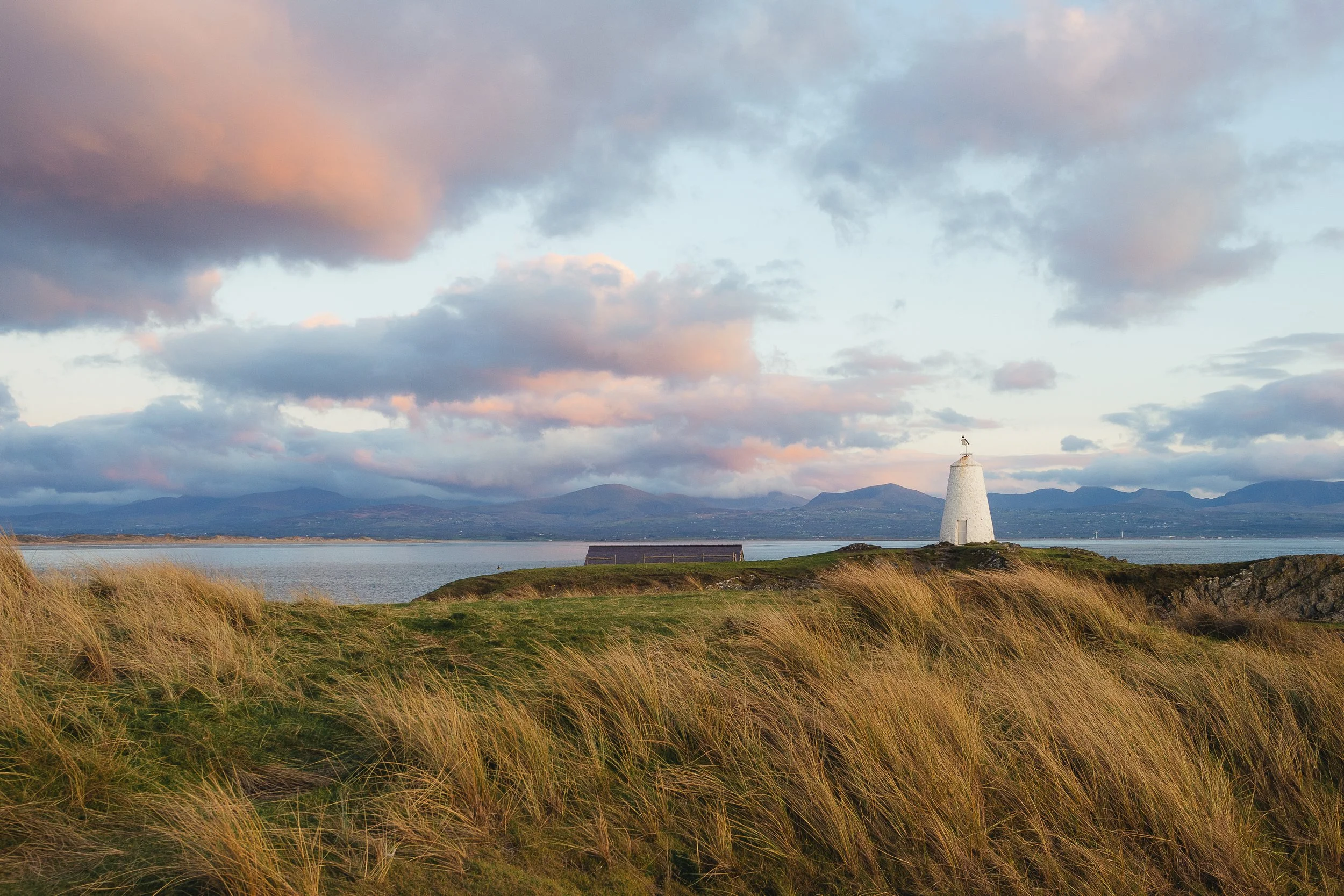 portfolio additions-10.jpg