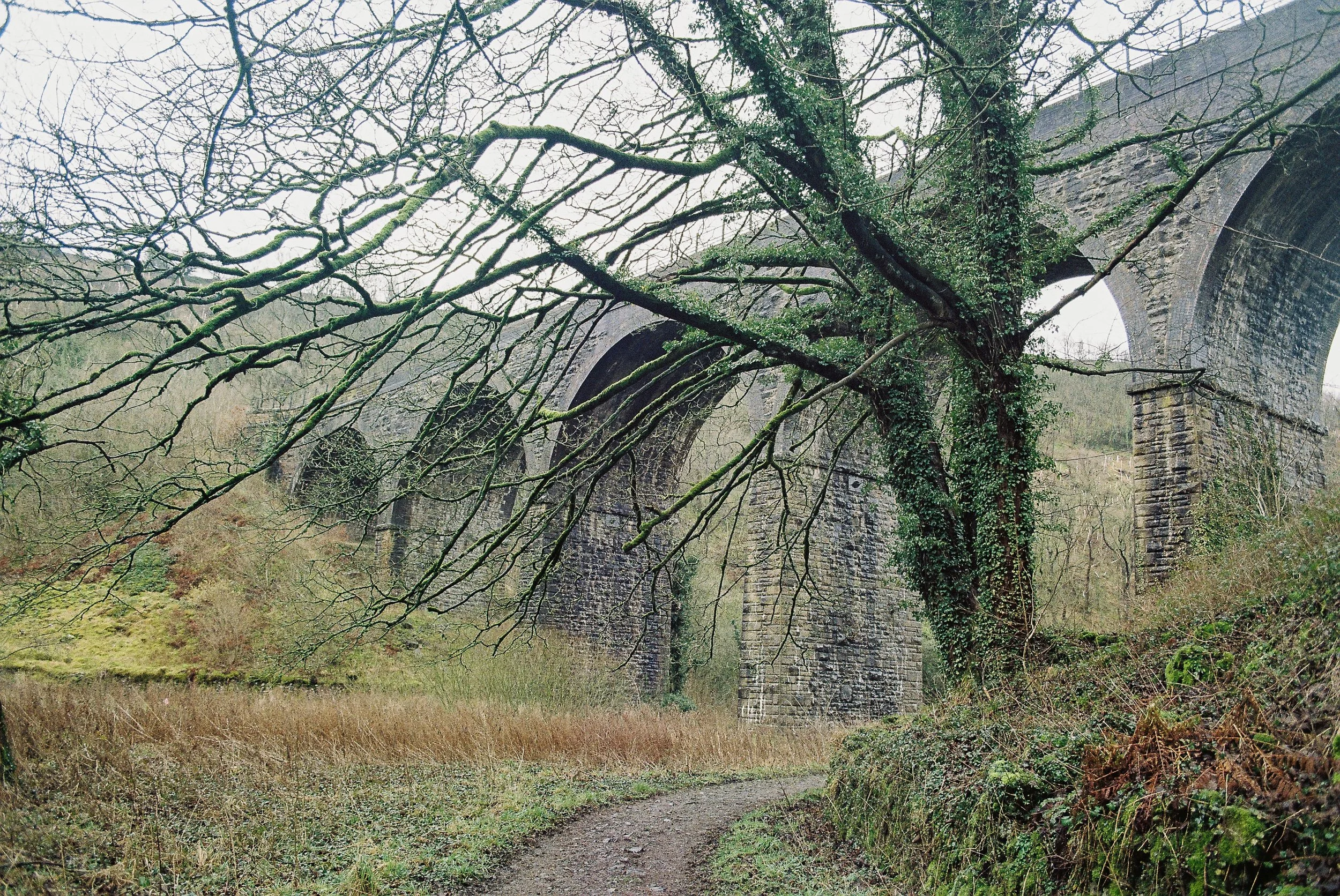 ColorPlus 200 February 2026-8.jpg