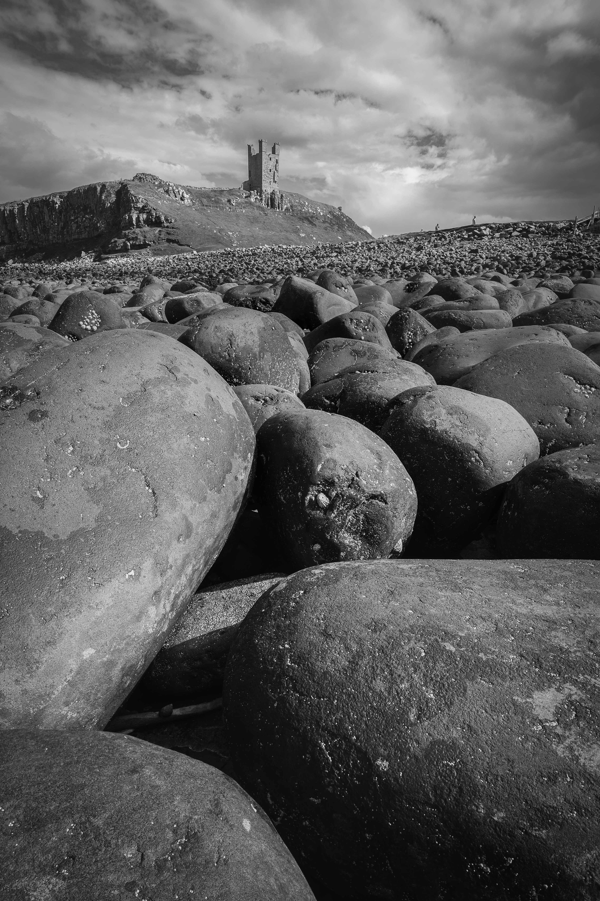 Coastal-3.jpg