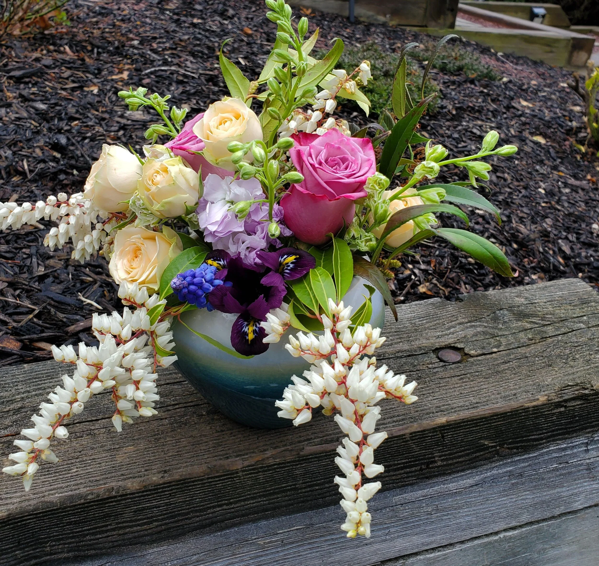 Sweet Sympathy - $90 to $200